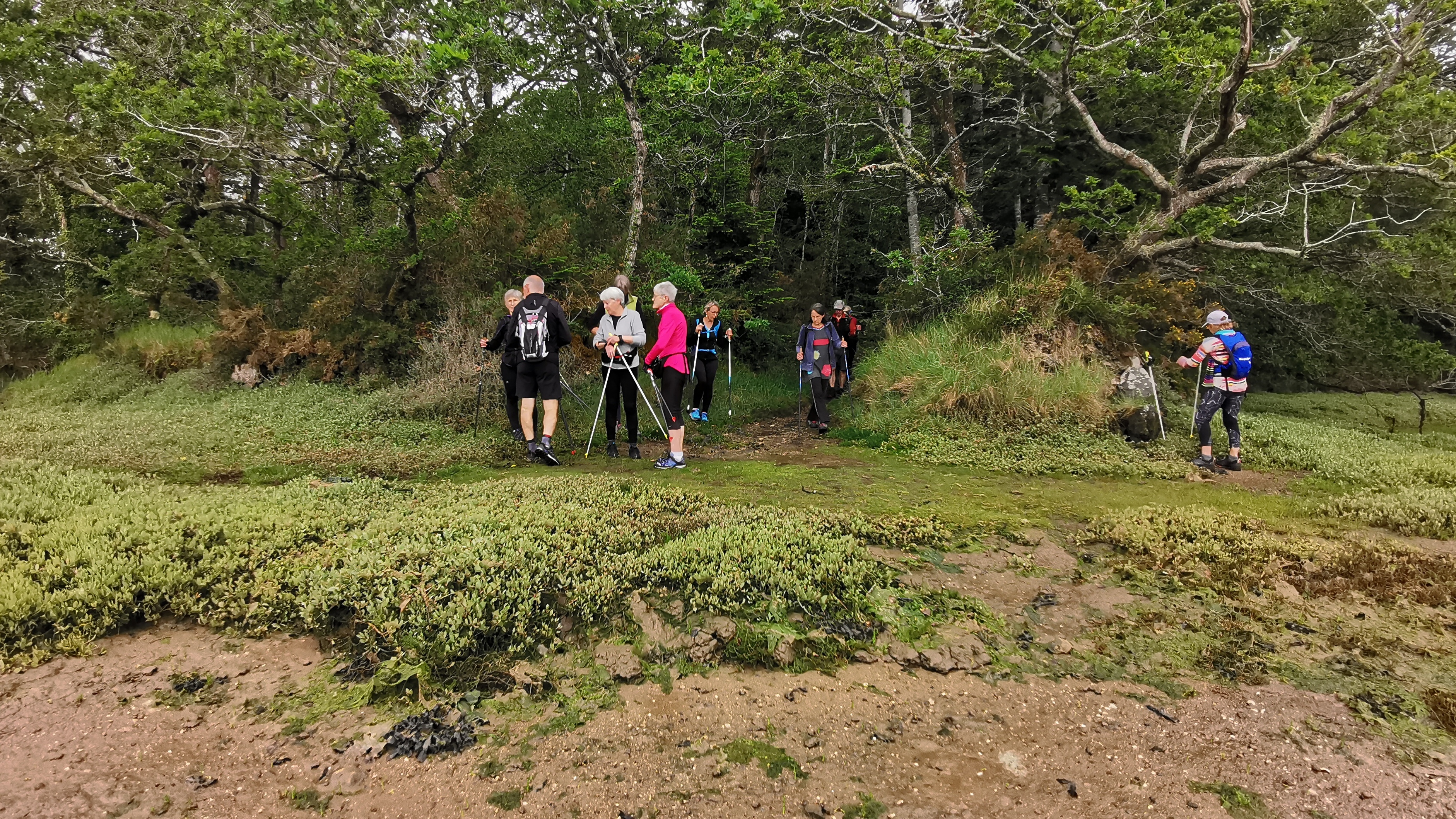 16-IMG_20210527_101705