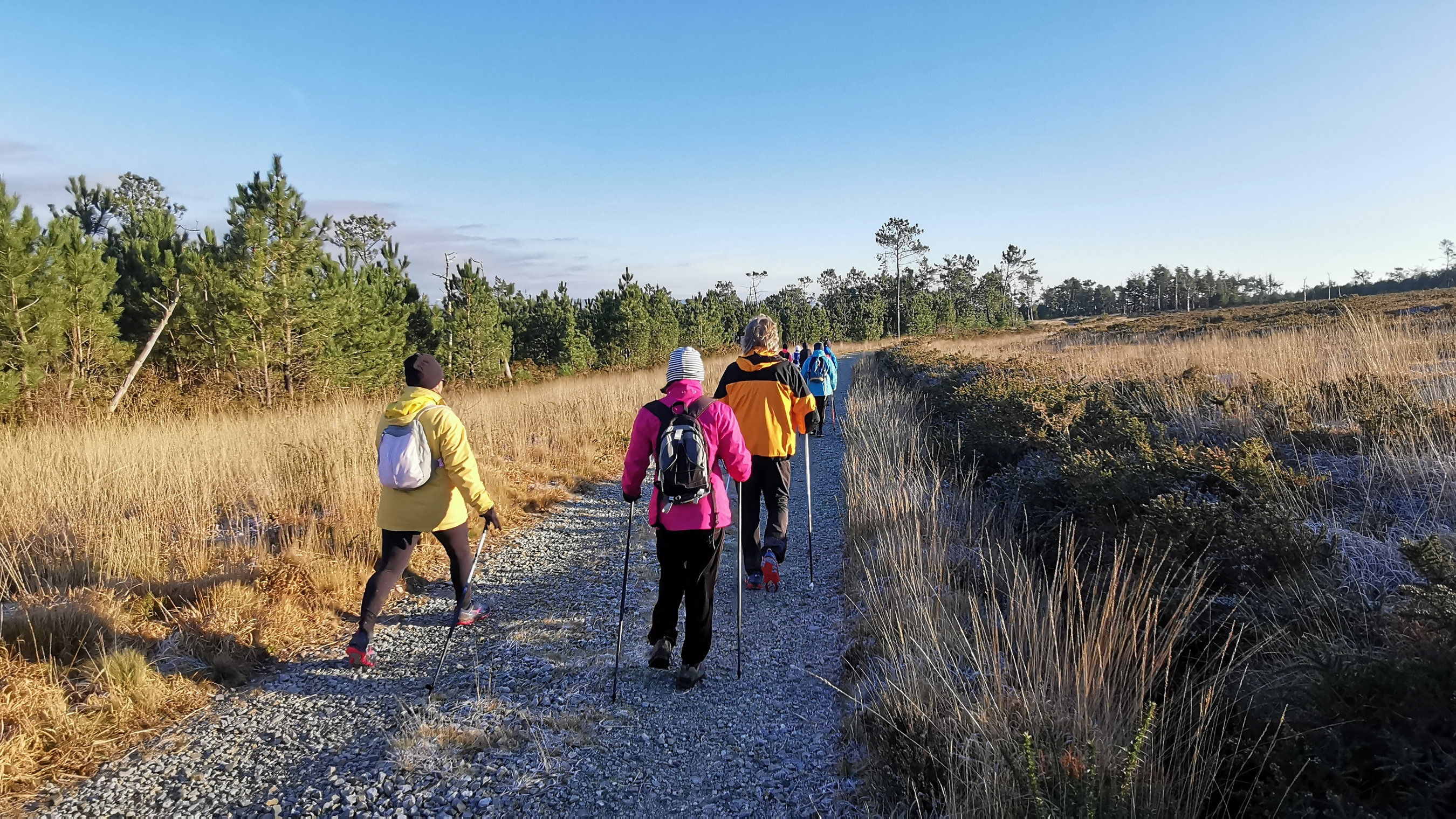 052-IMG_20210110_103756