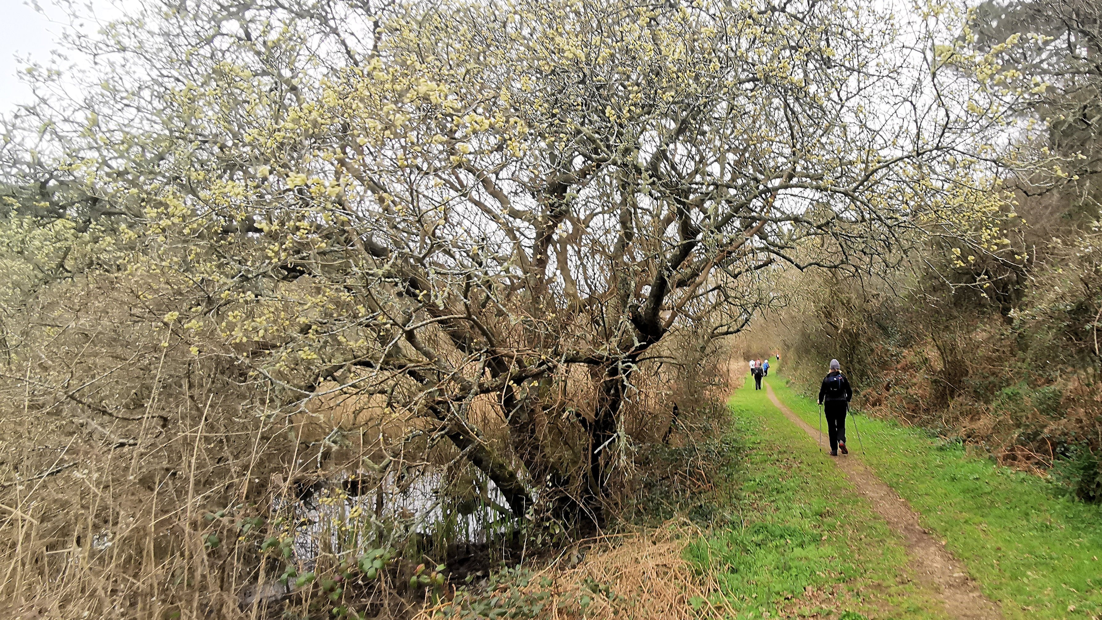 33-IMG_20210321_101512