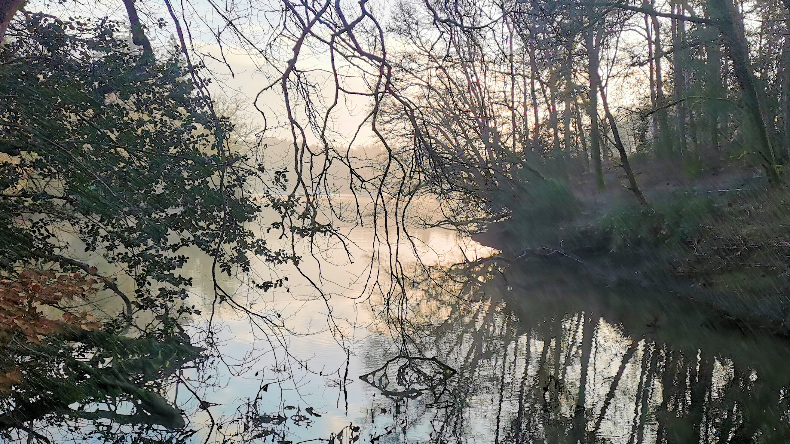 08-IMG_20210107_102506