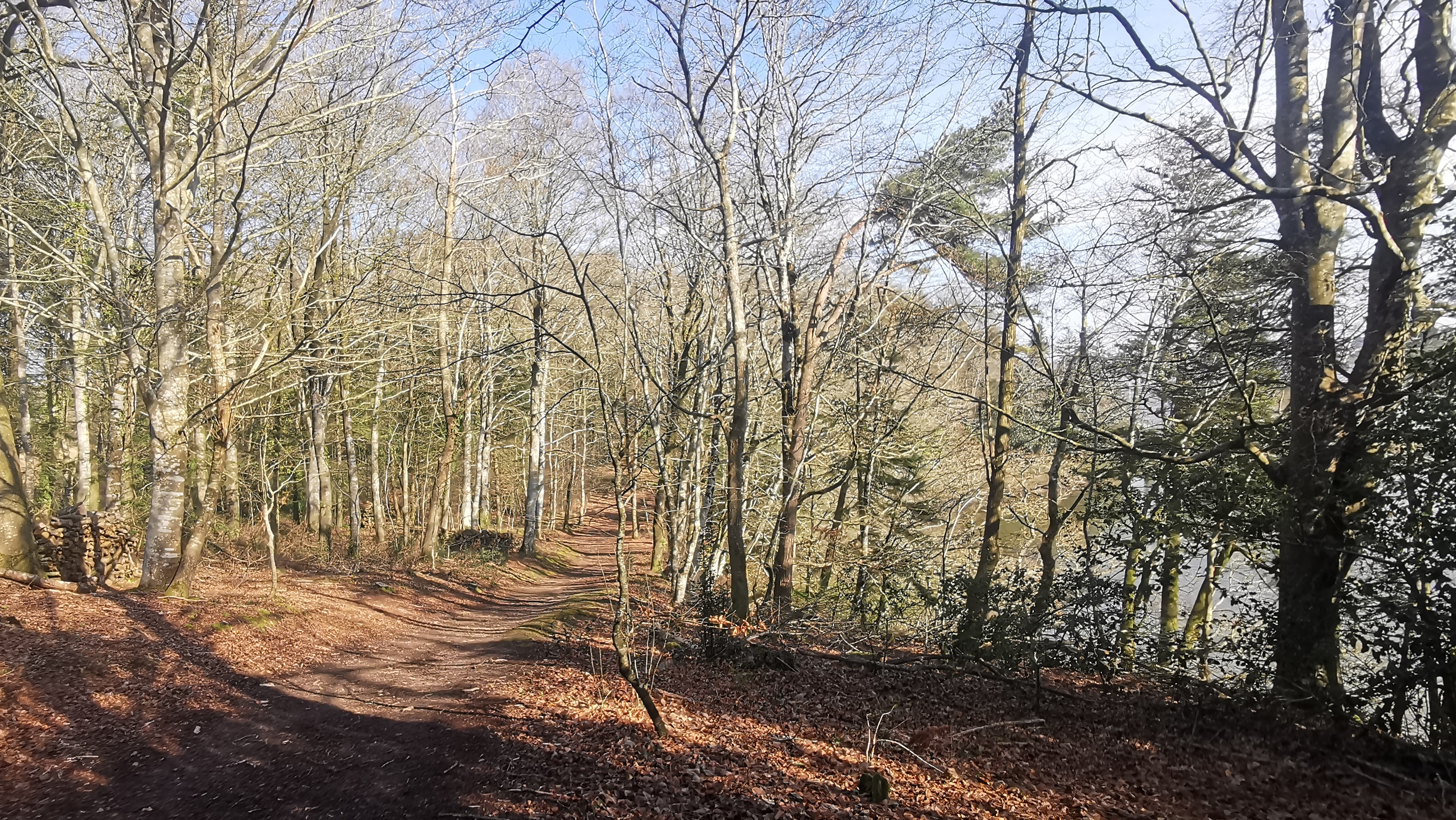 30-IMG_20210318_102557