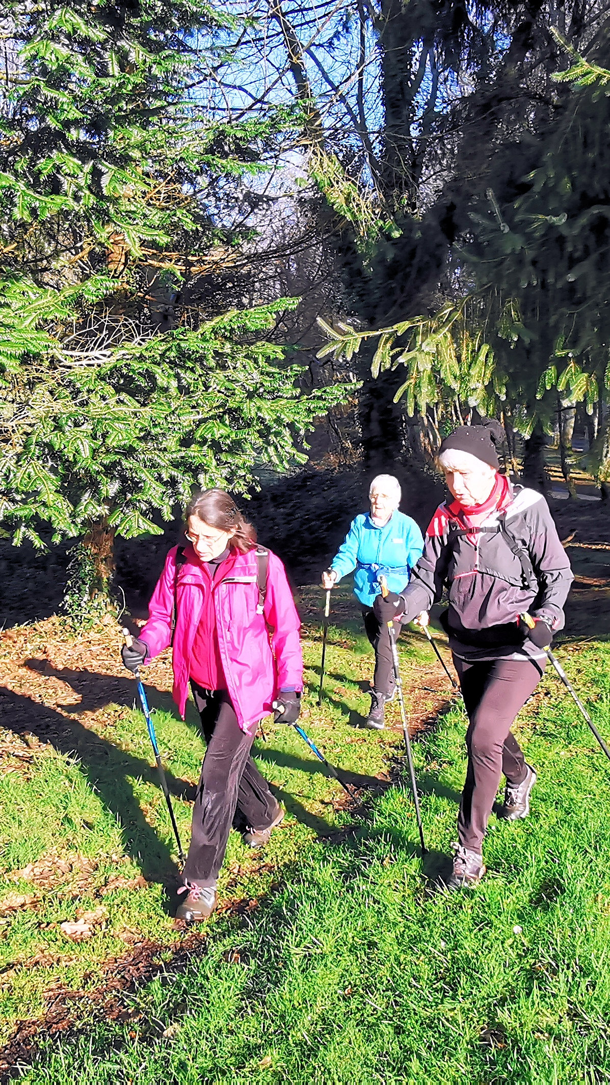 61-IMG_20210207_105258_1