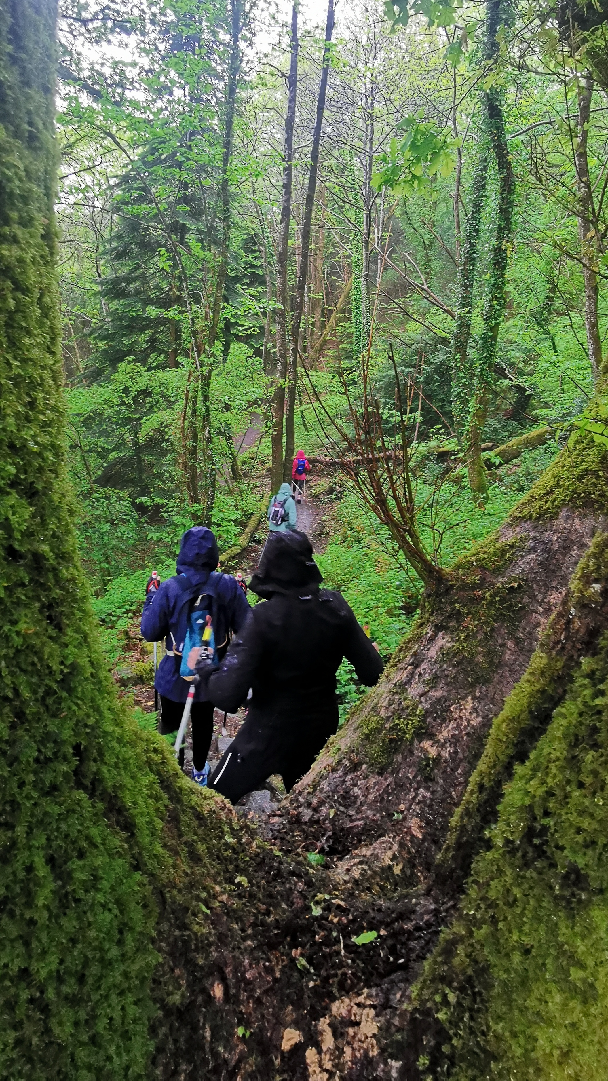 003-IMG_20210513_093543