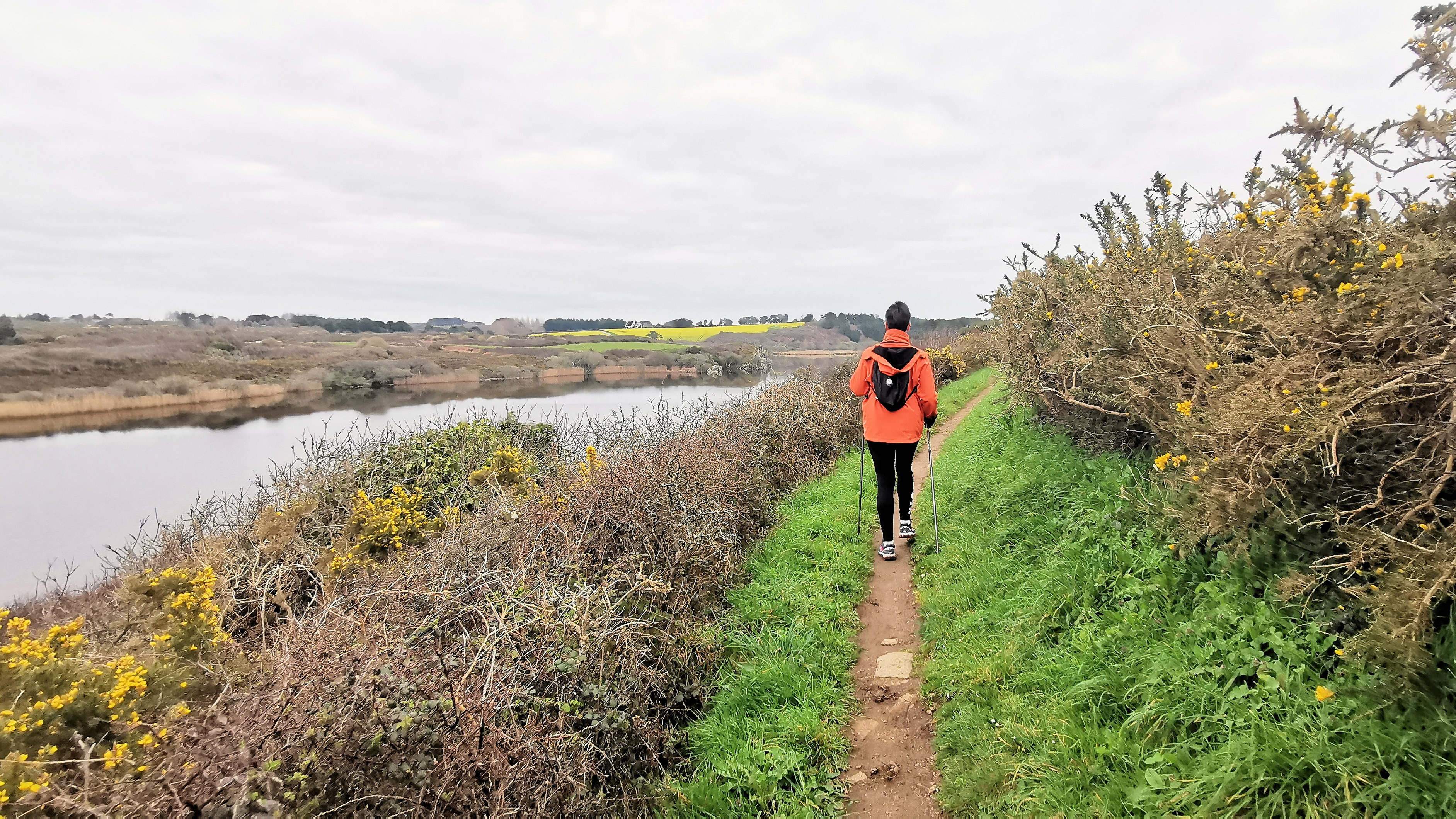 17-IMG_20210321_100005_1