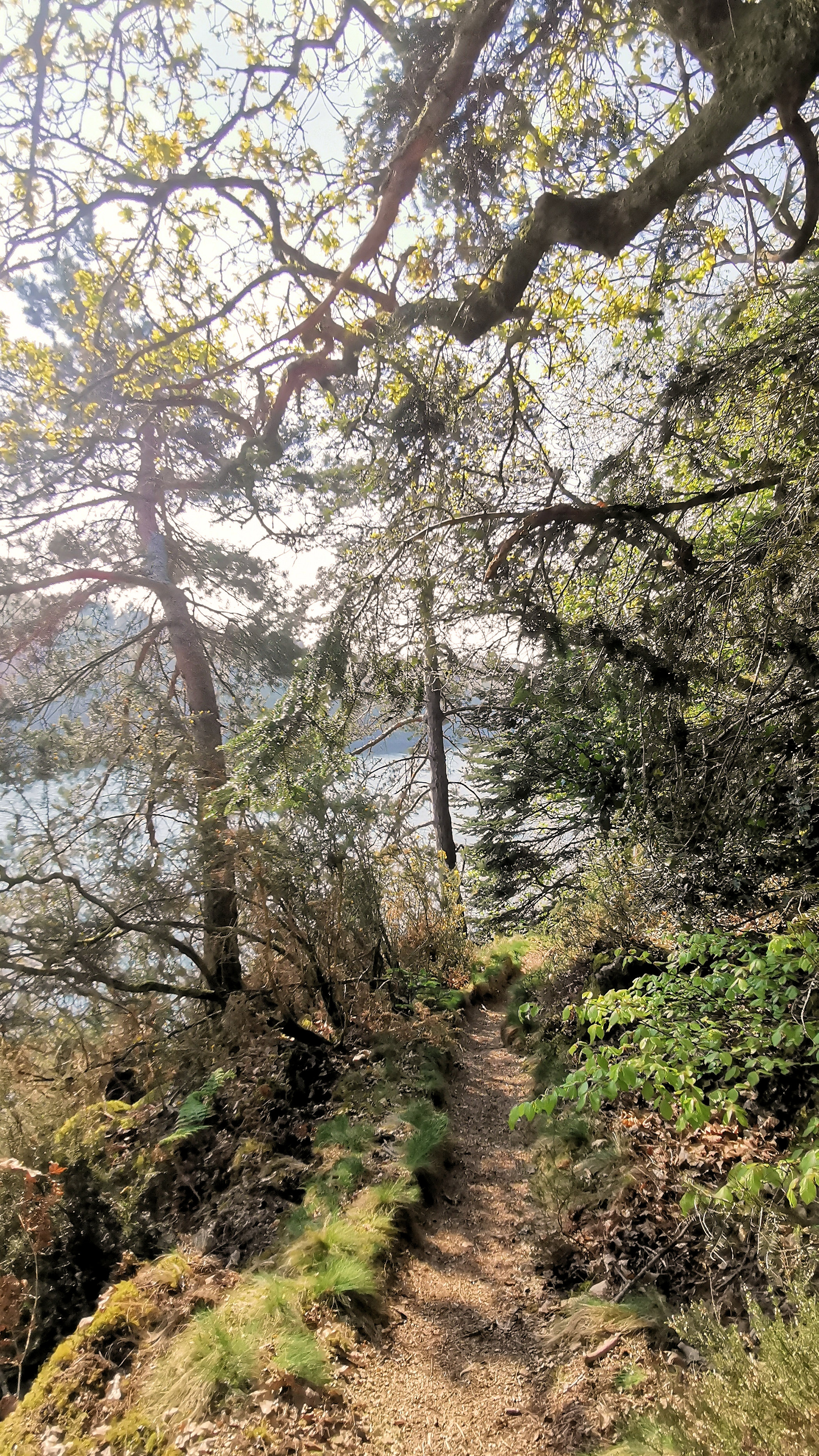 13-IMG_20210422_103142