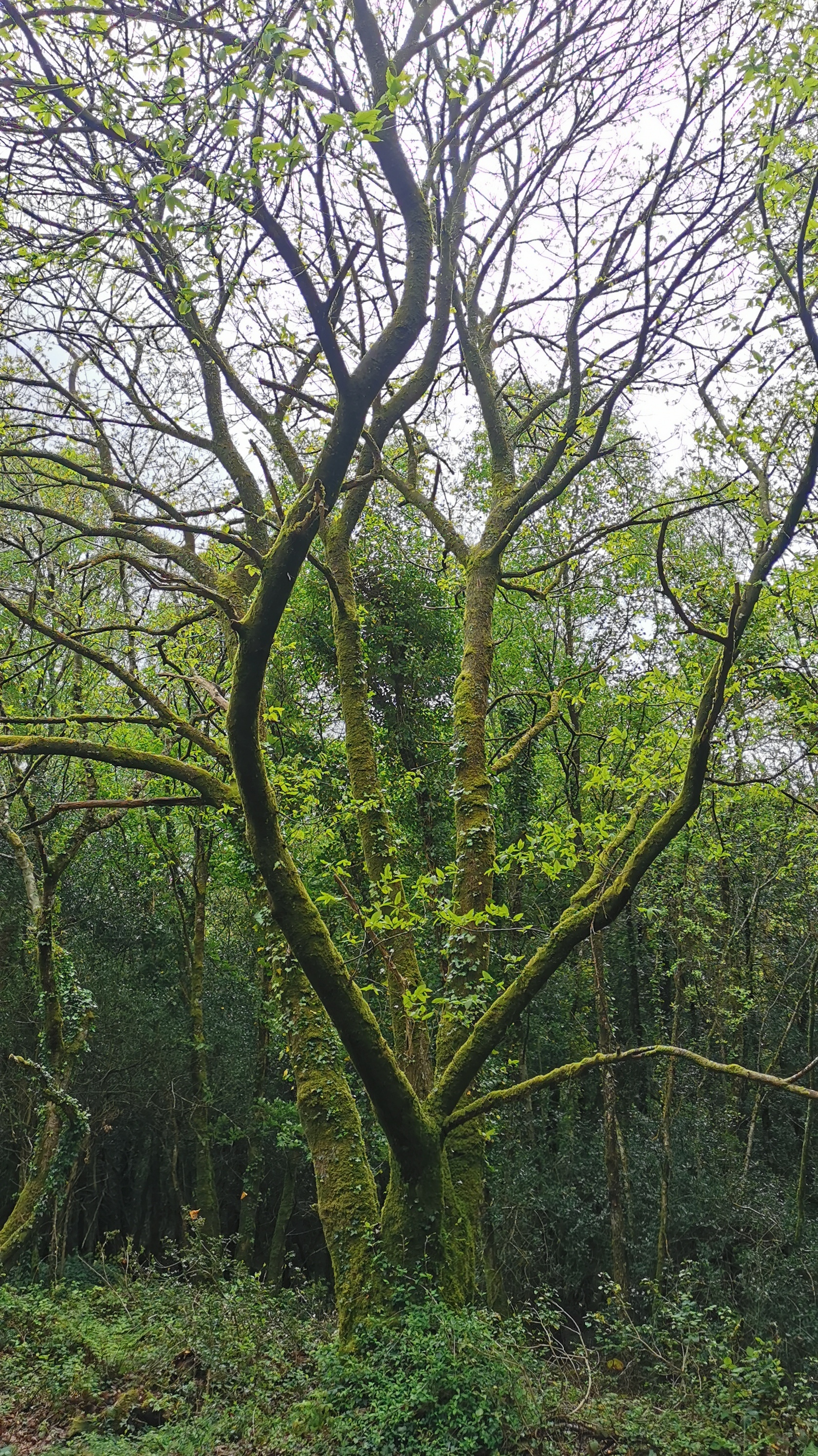 24-IMG_20210508_103315