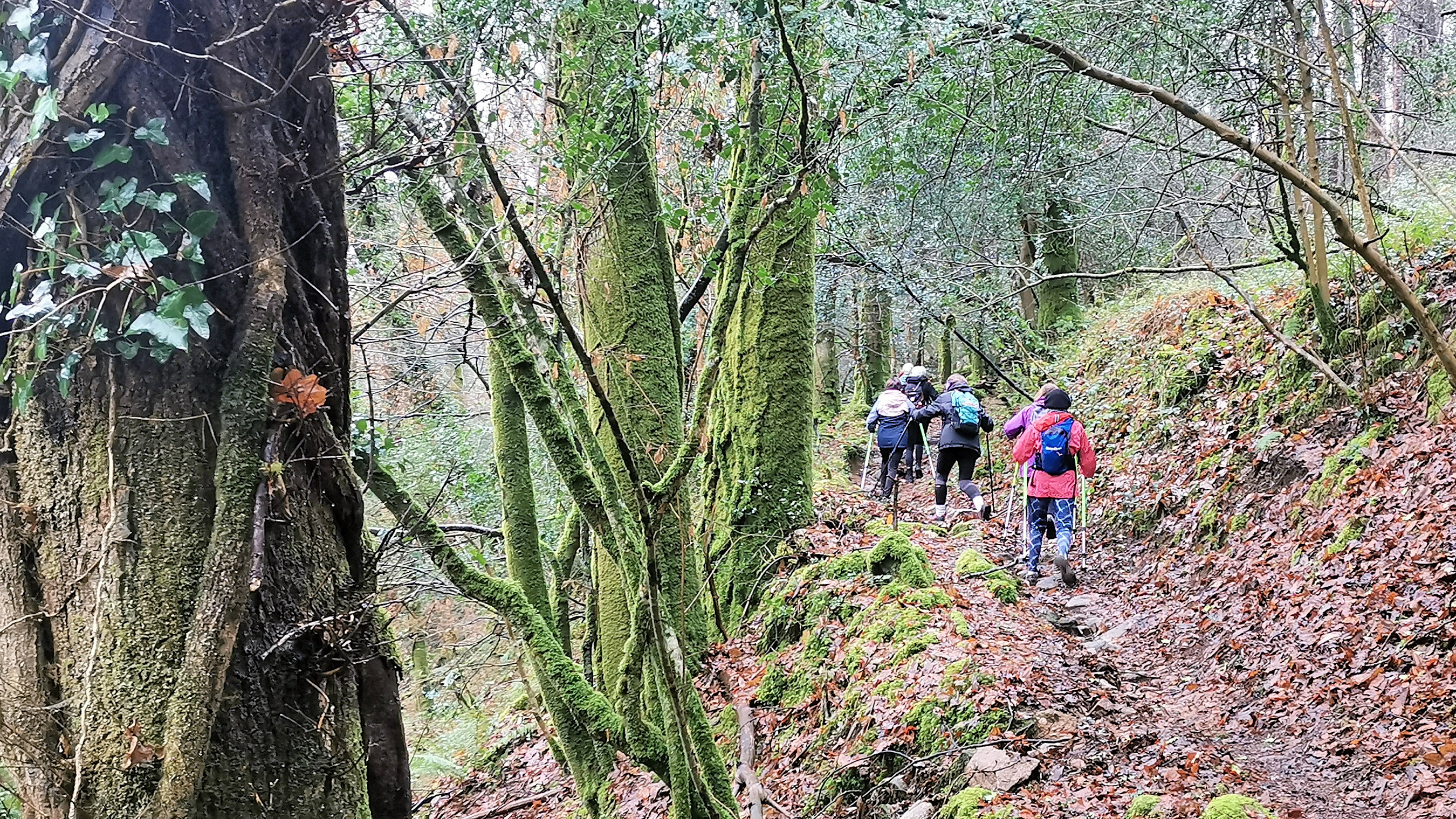 17-IMG_20210119_110455