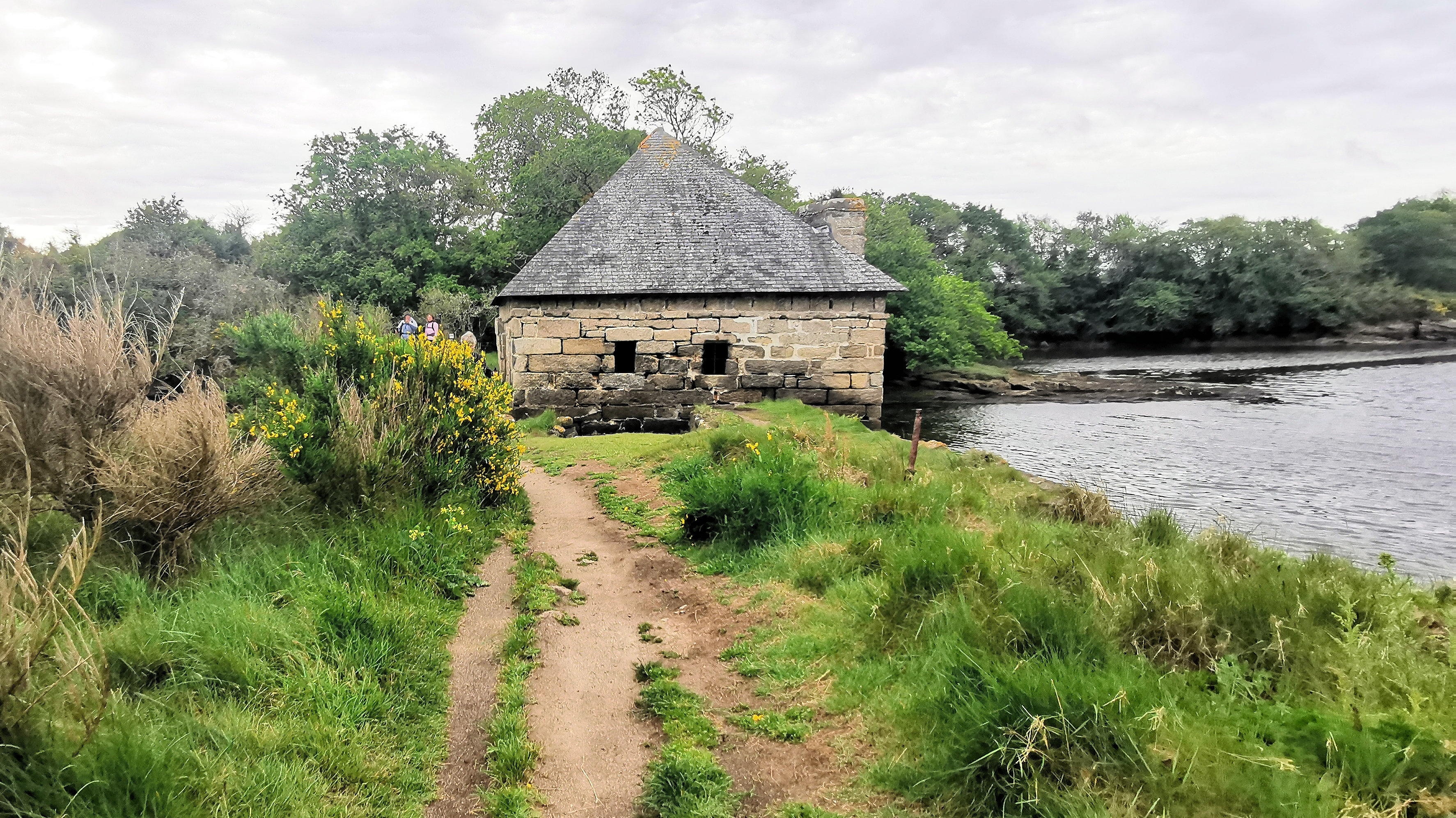 86-IMG_20210520_110928