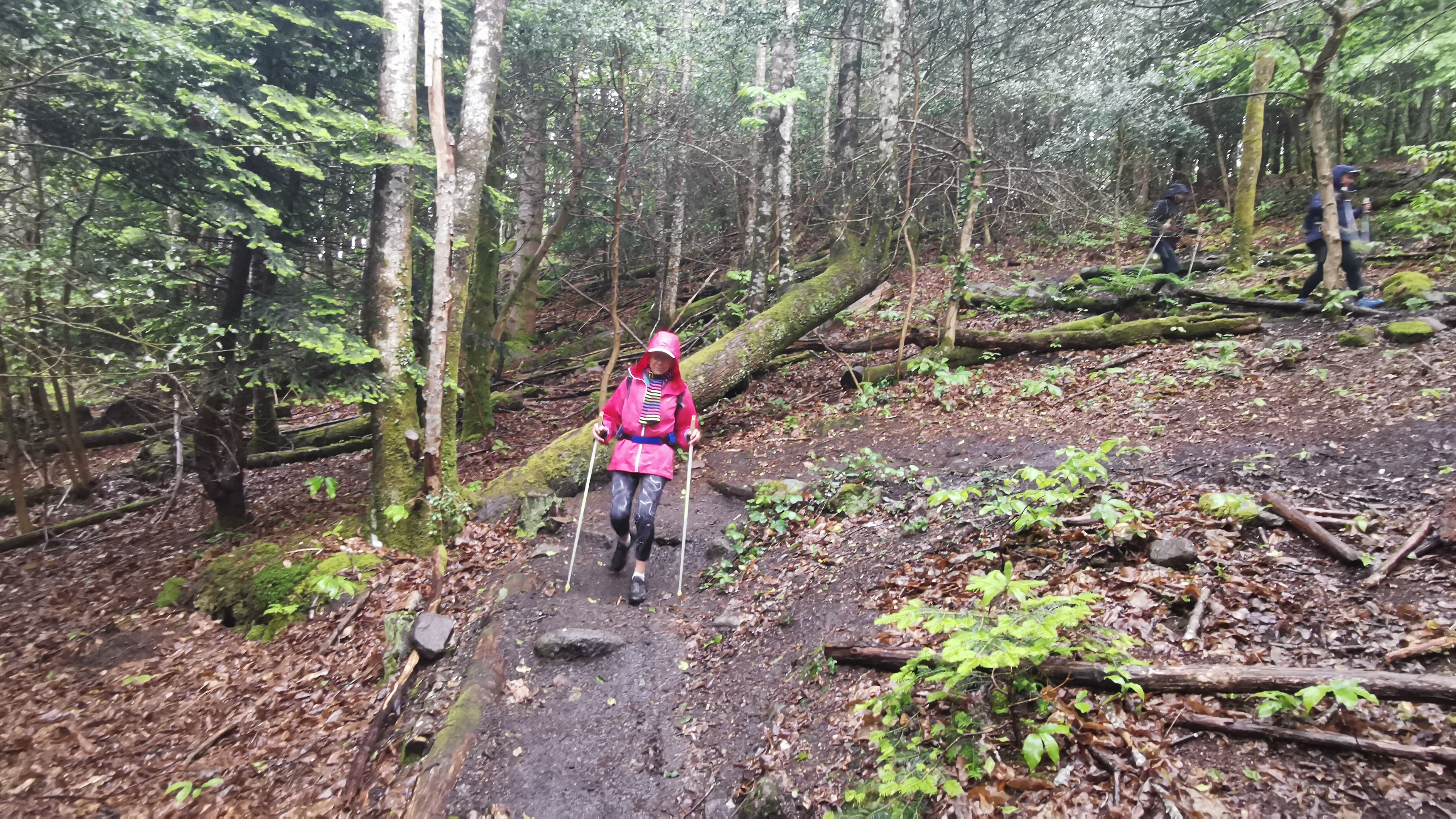 001-IMG_20210513_093323