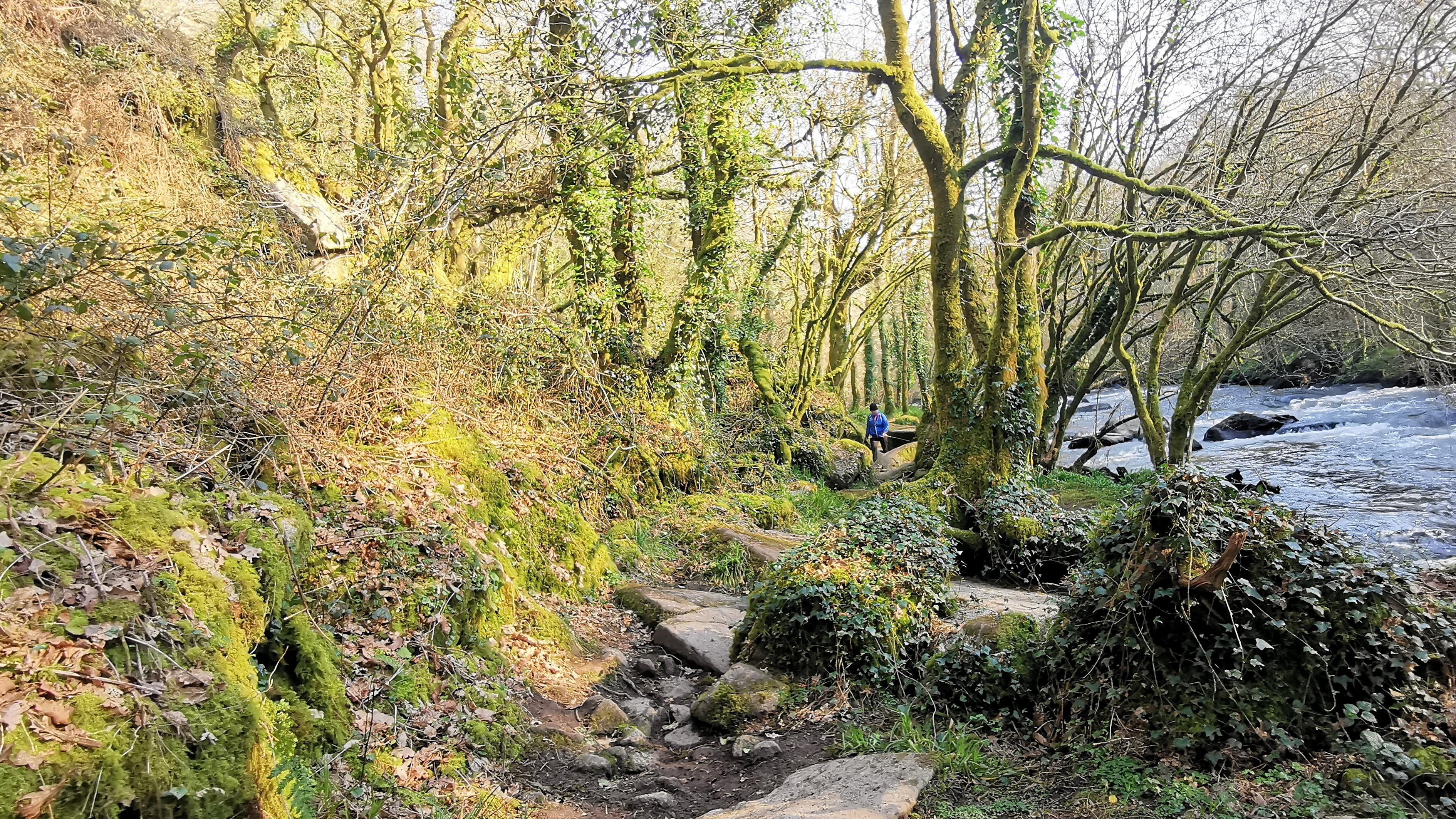 69-IMG_20210307_104805