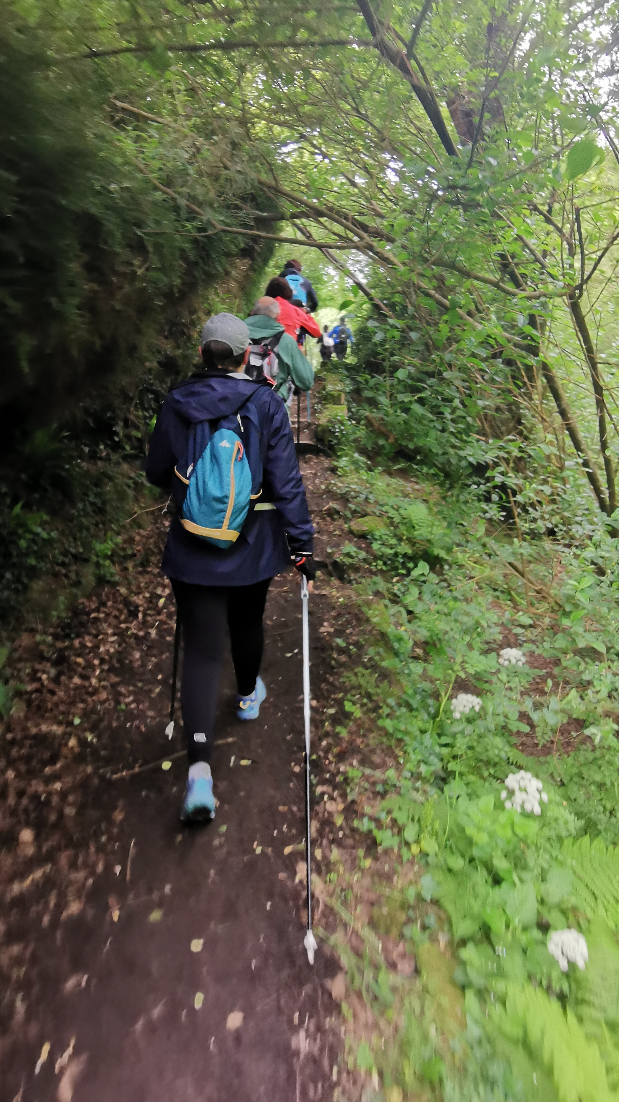 020-IMG_20210606_094650