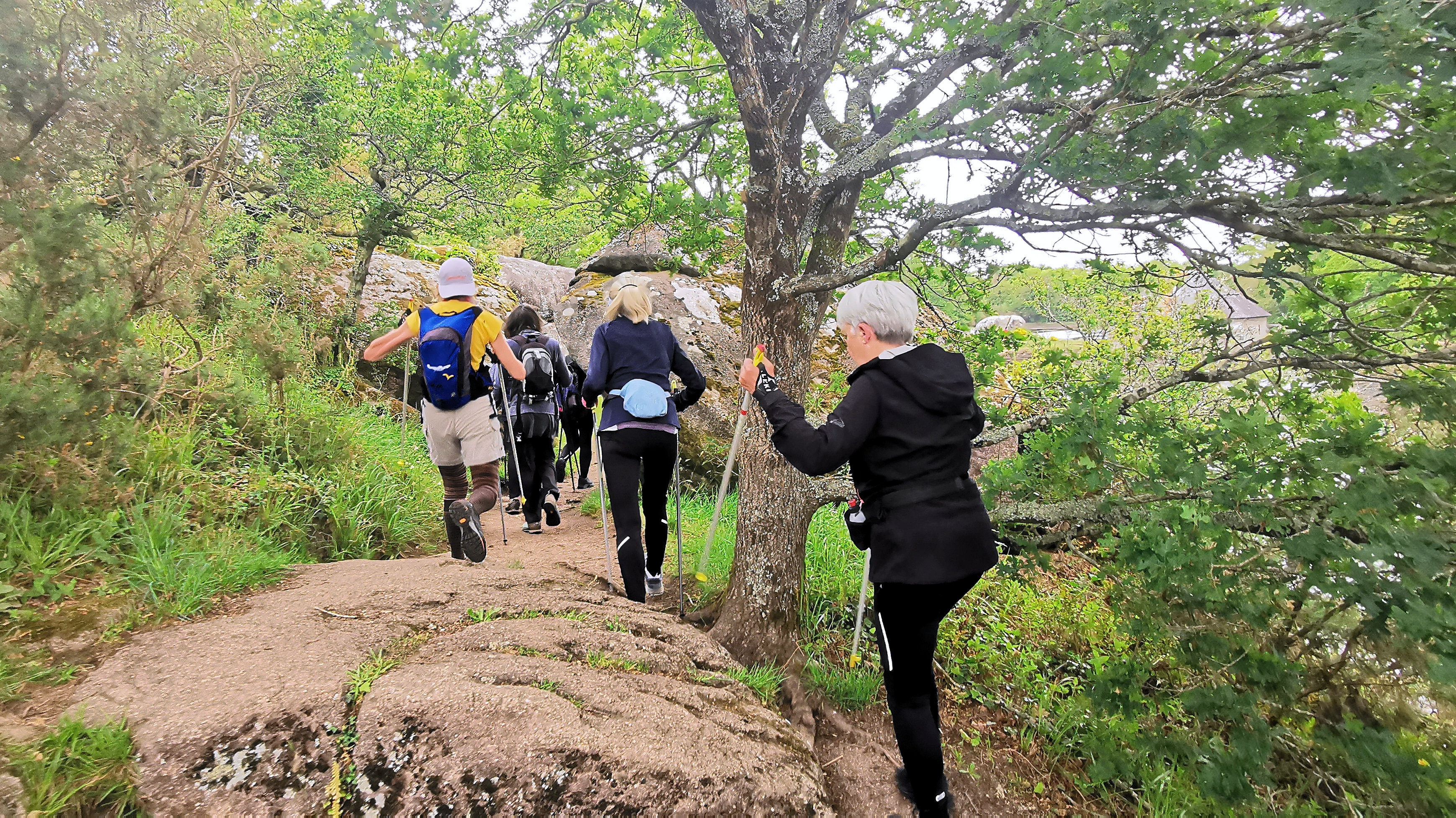 41-IMG_20210520_102408