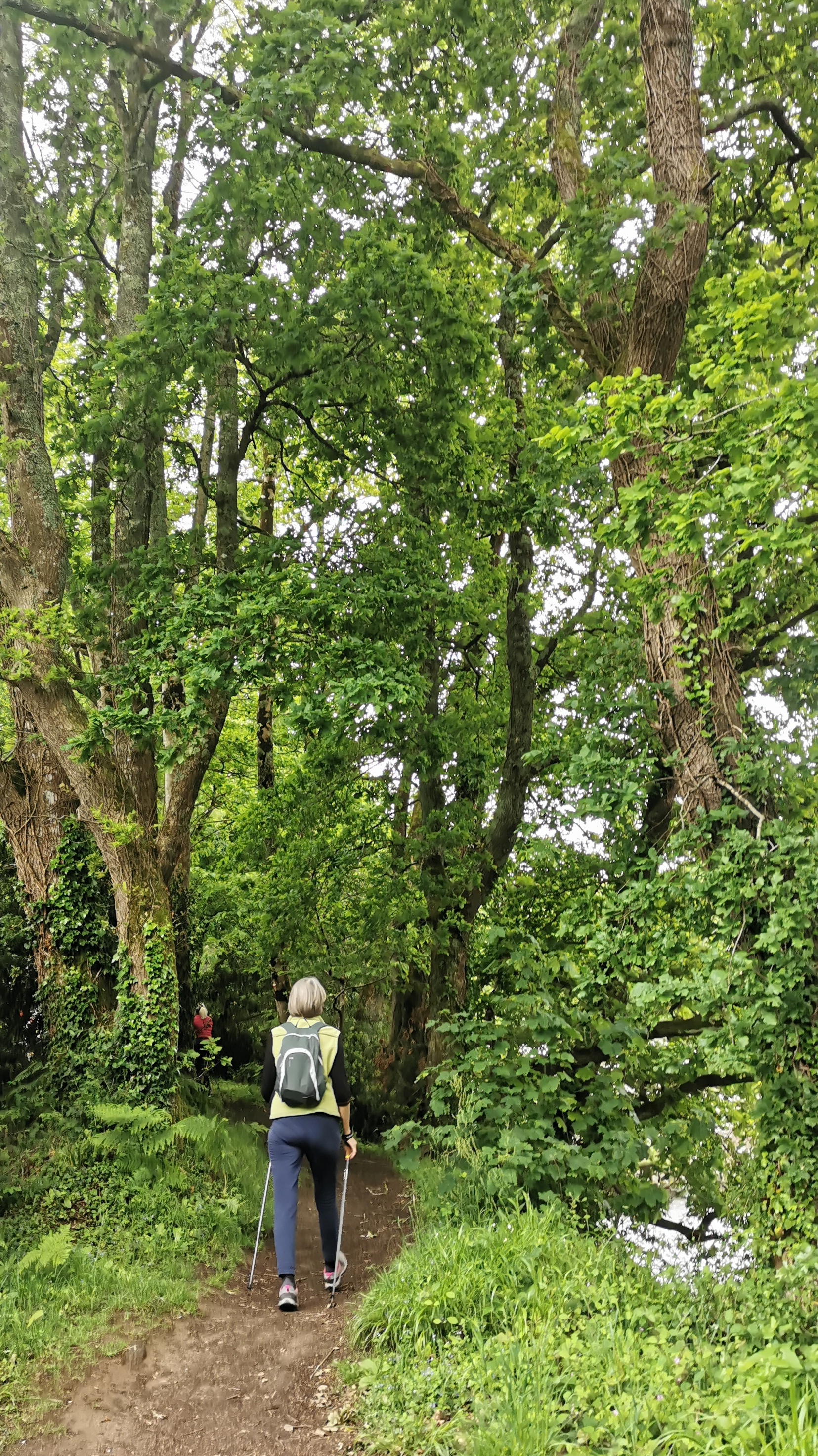 04-IMG_20210527_094128