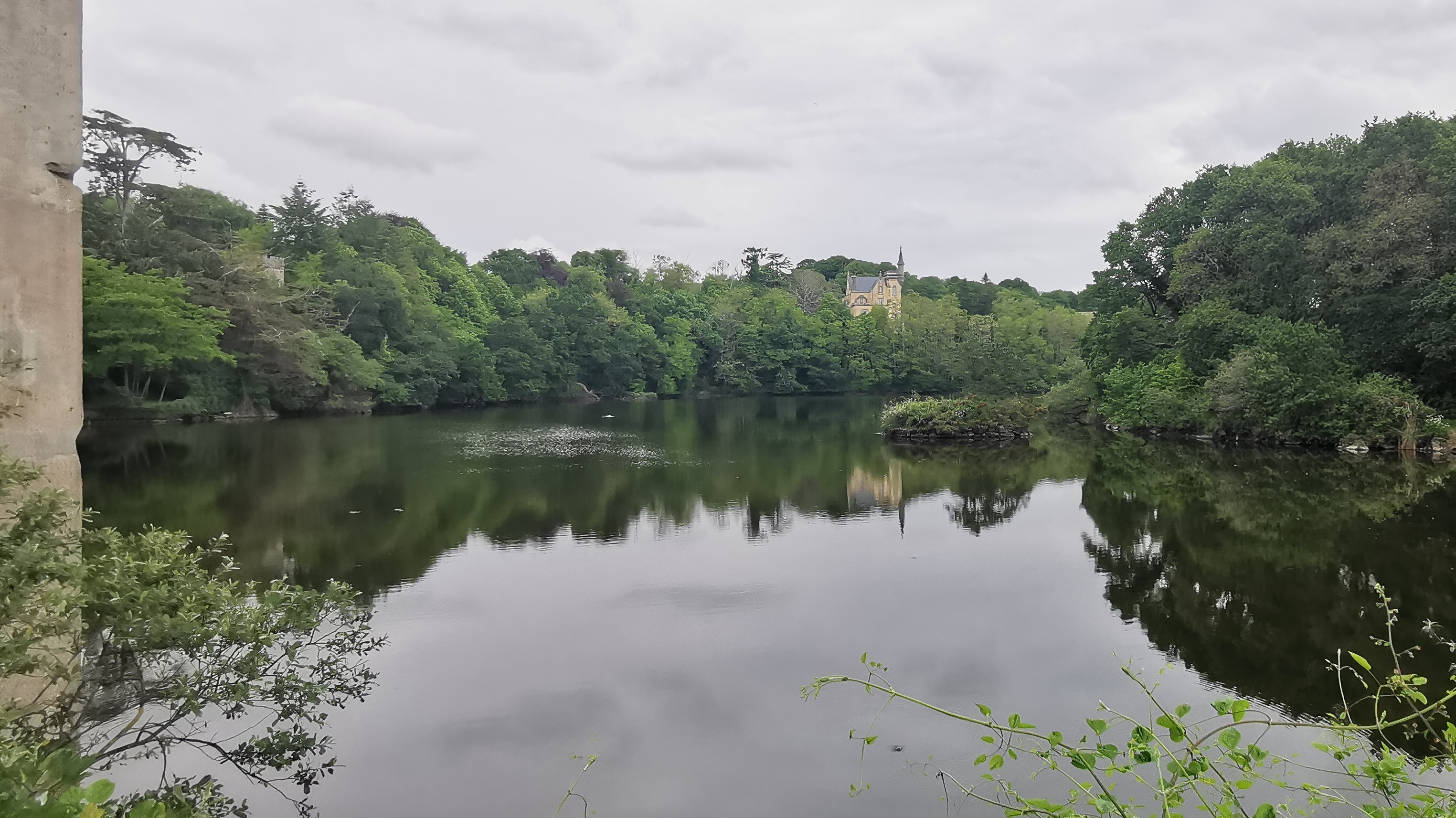 054-IMG_20210606_104525