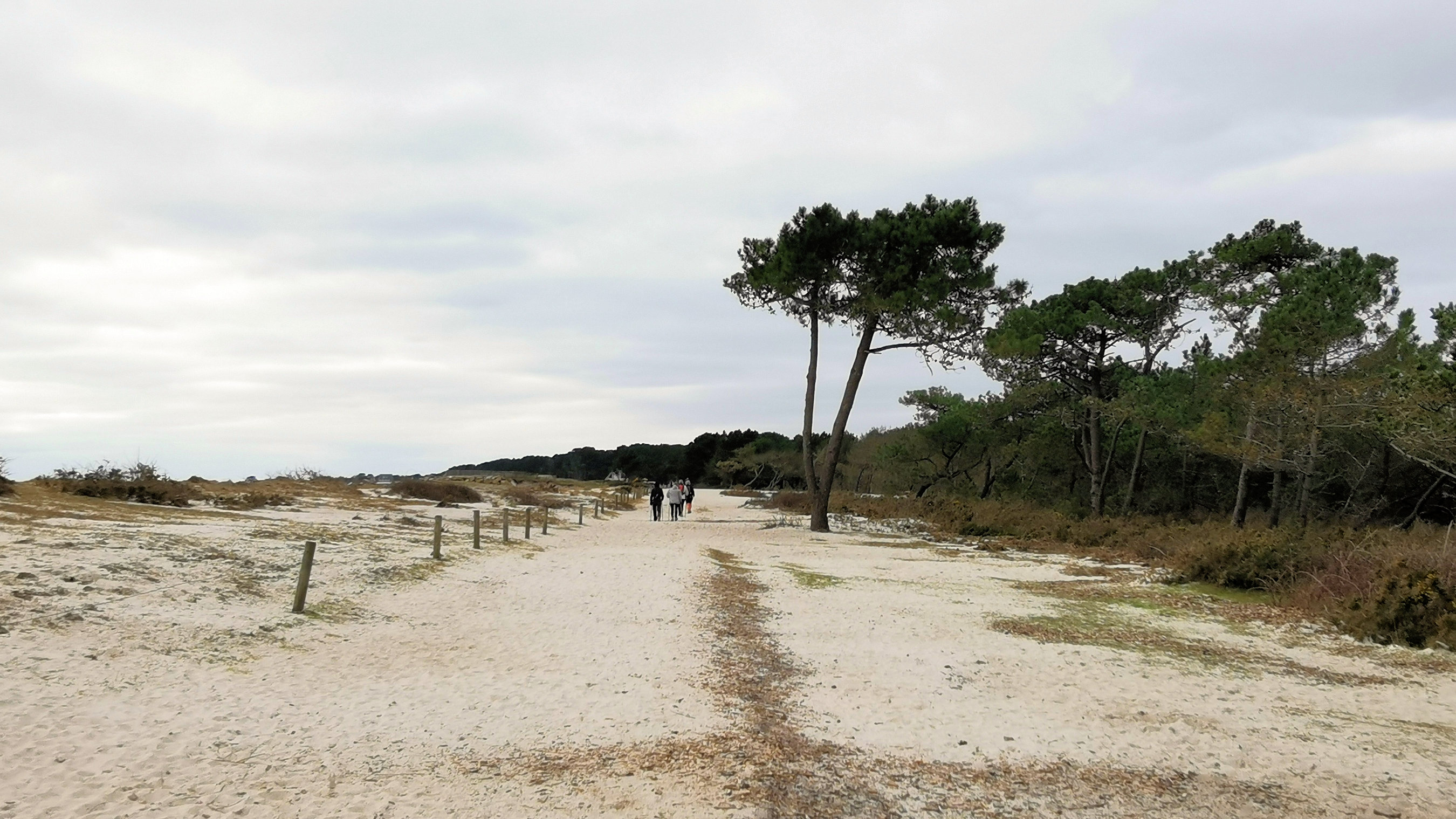 21-IMG_20210208_114236