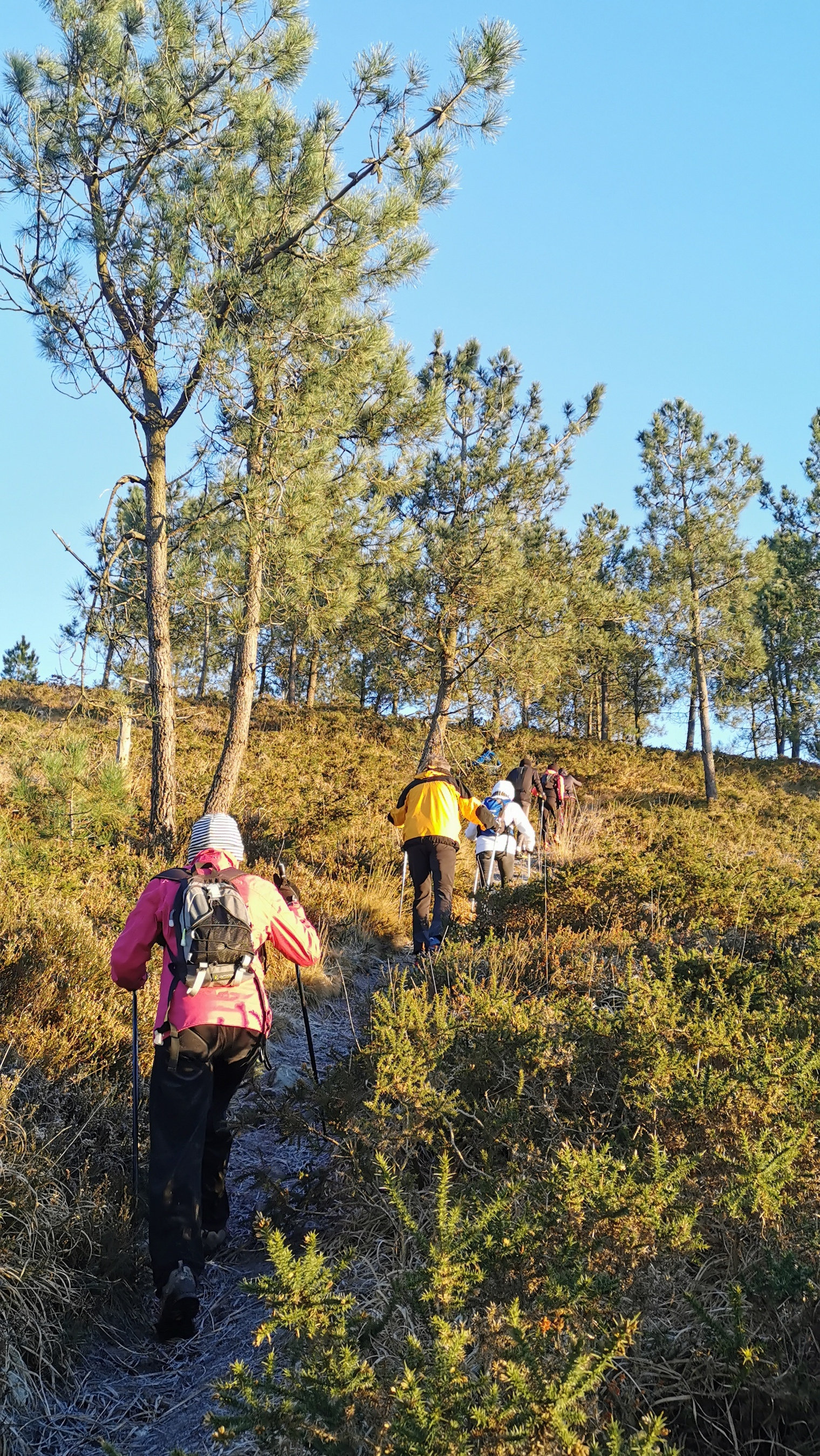 007-IMG_20210110_094623