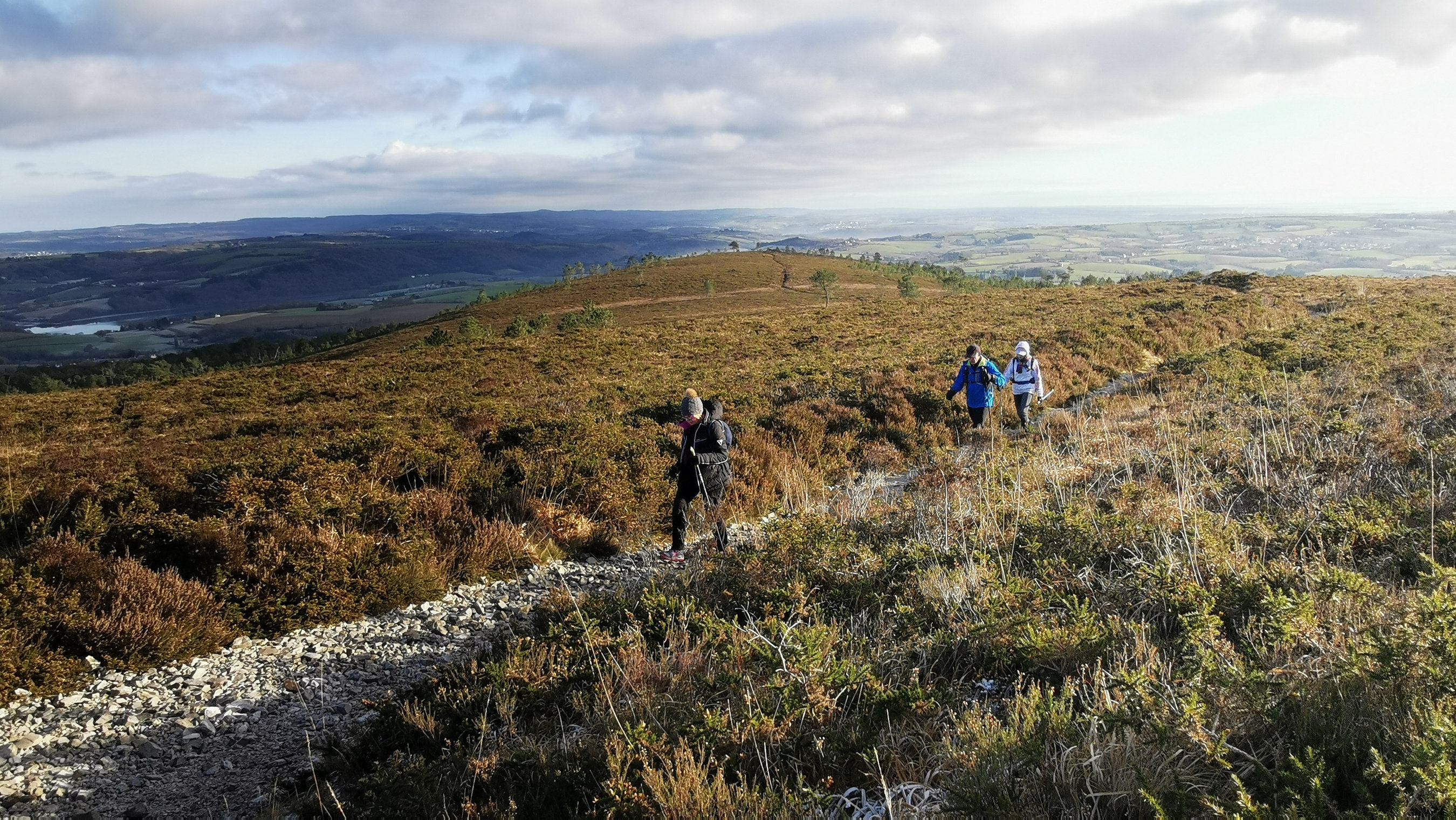 113-IMG_20210110_110956