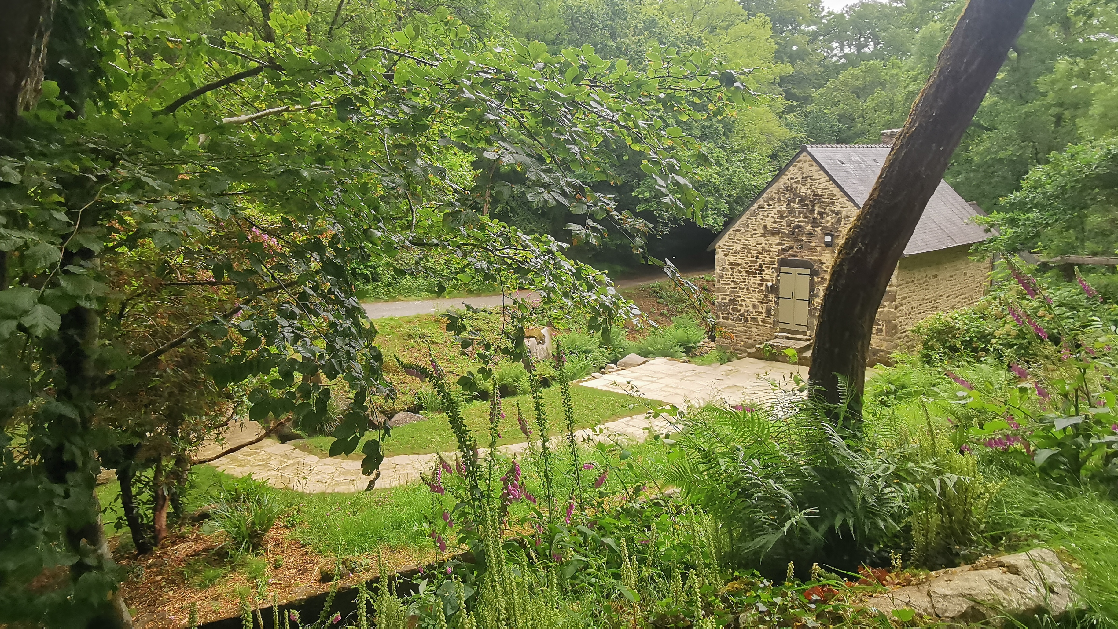 56-IMG_20210617_114052