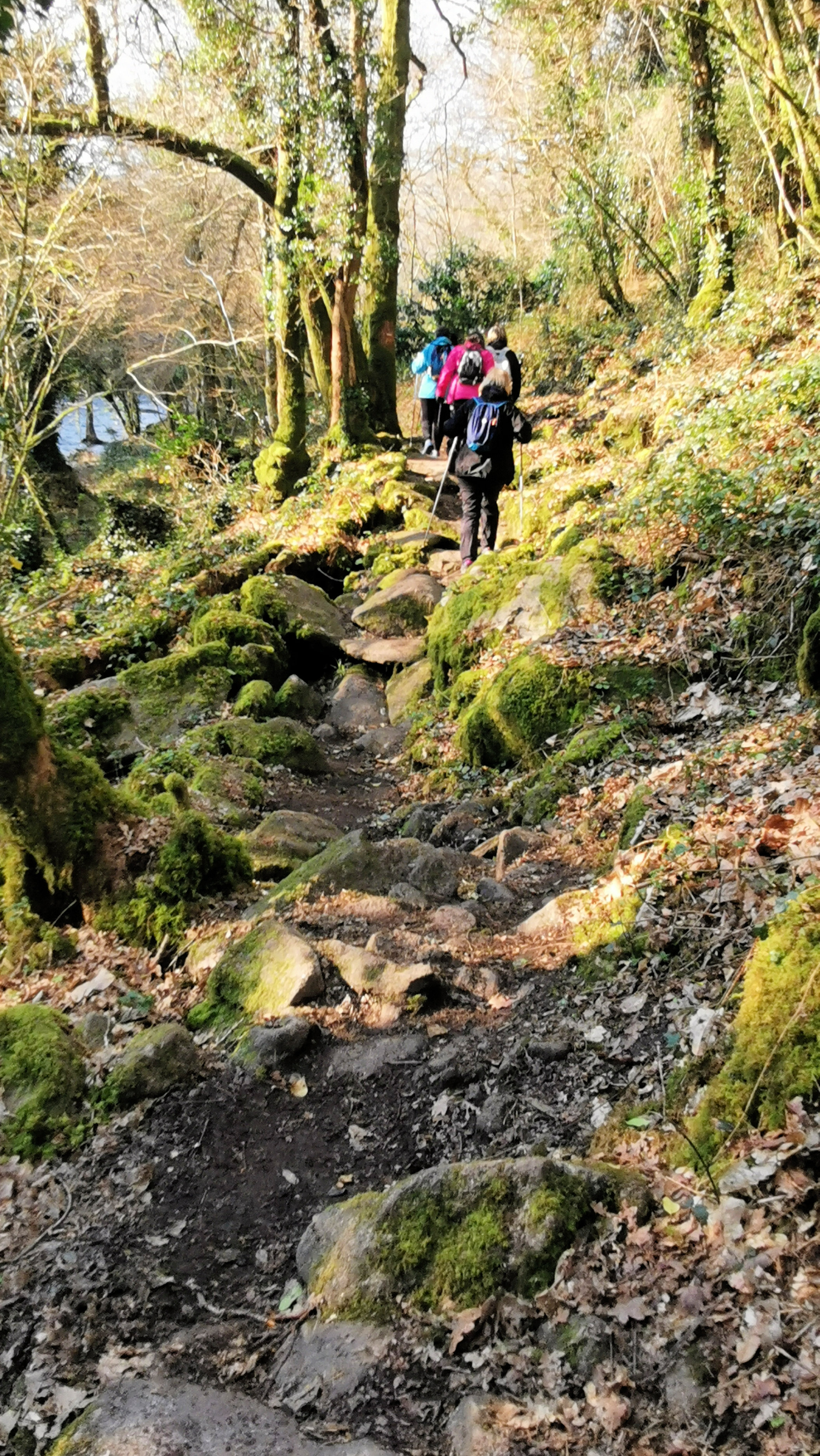 71-IMG_20210307_104846_1