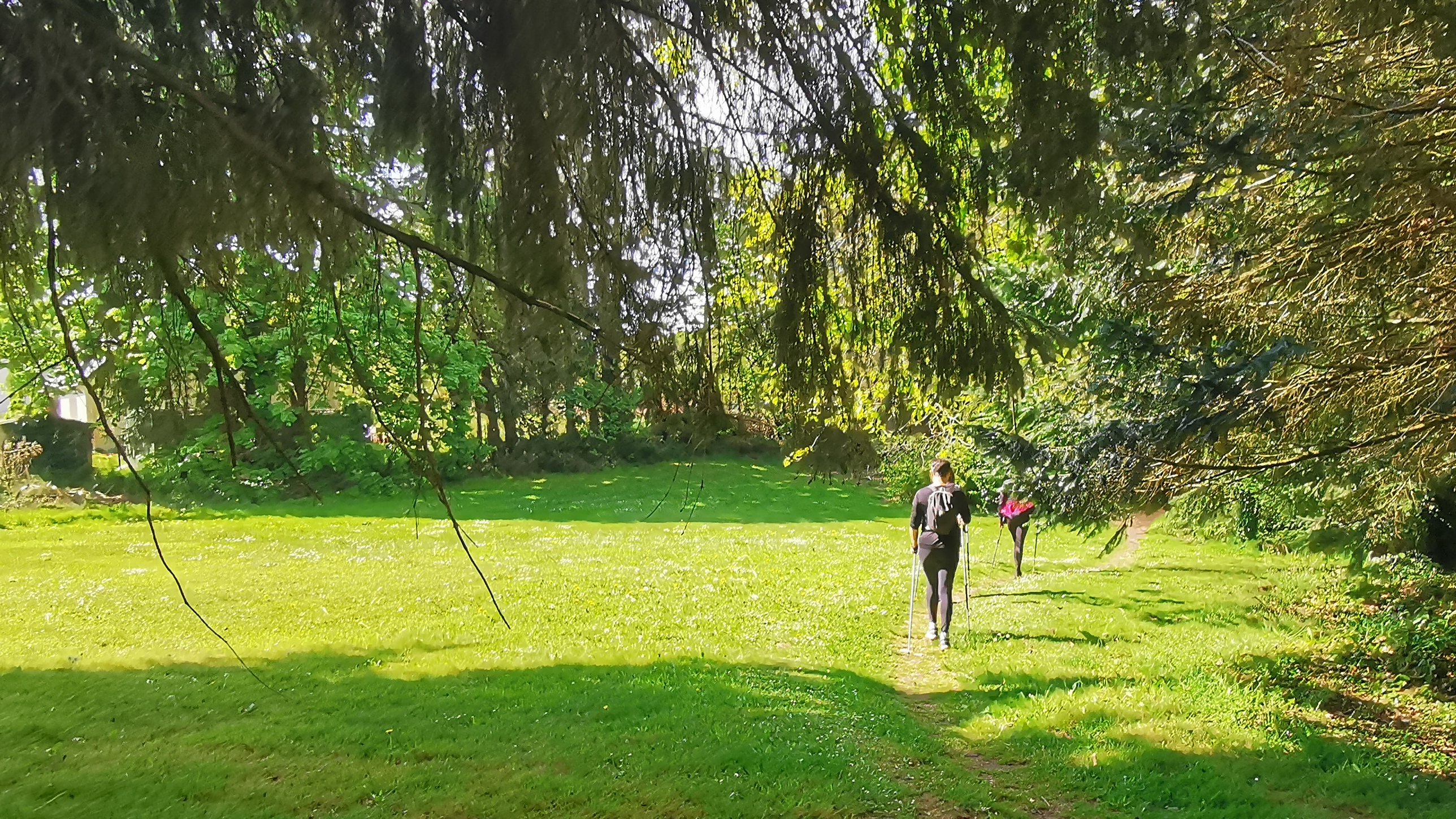 61-IMG_20210501_113606