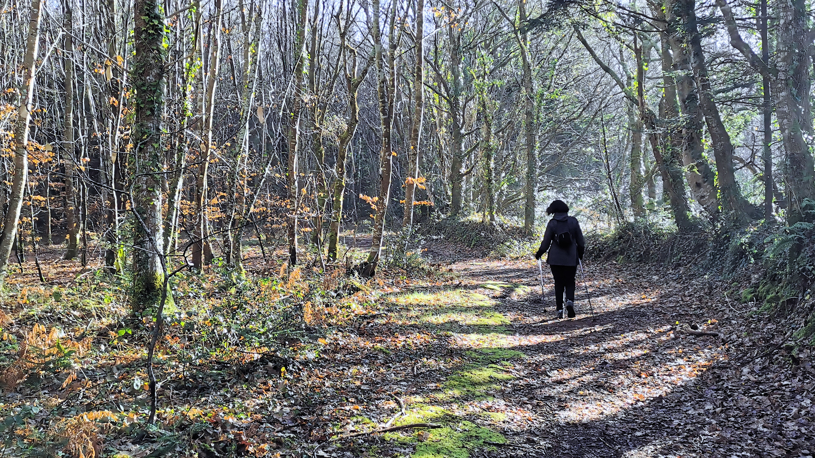 42-IMG_20210206_111511