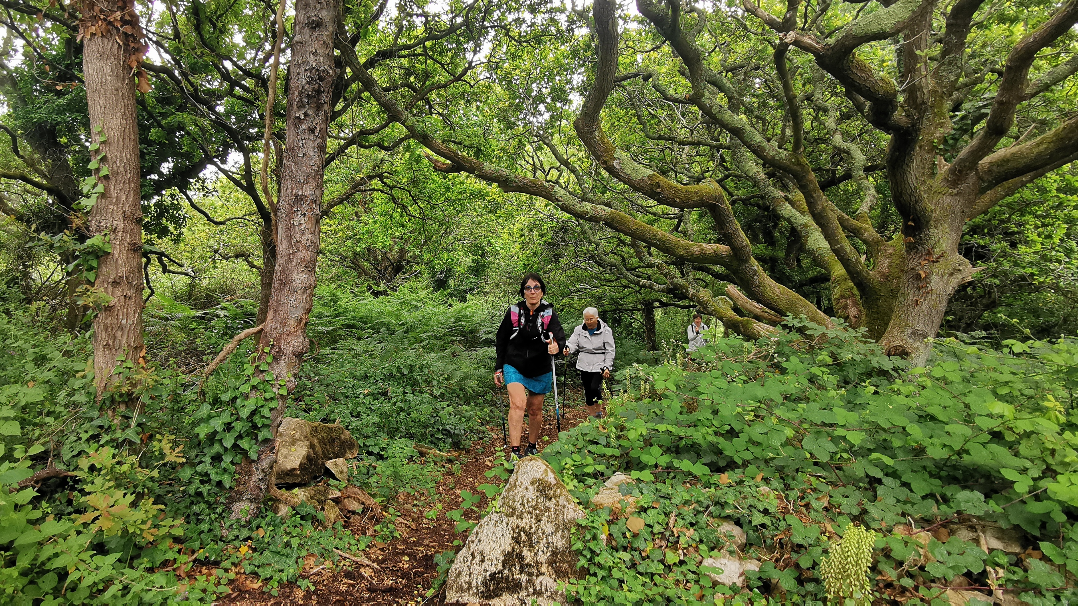 128-IMG_20210620_110816