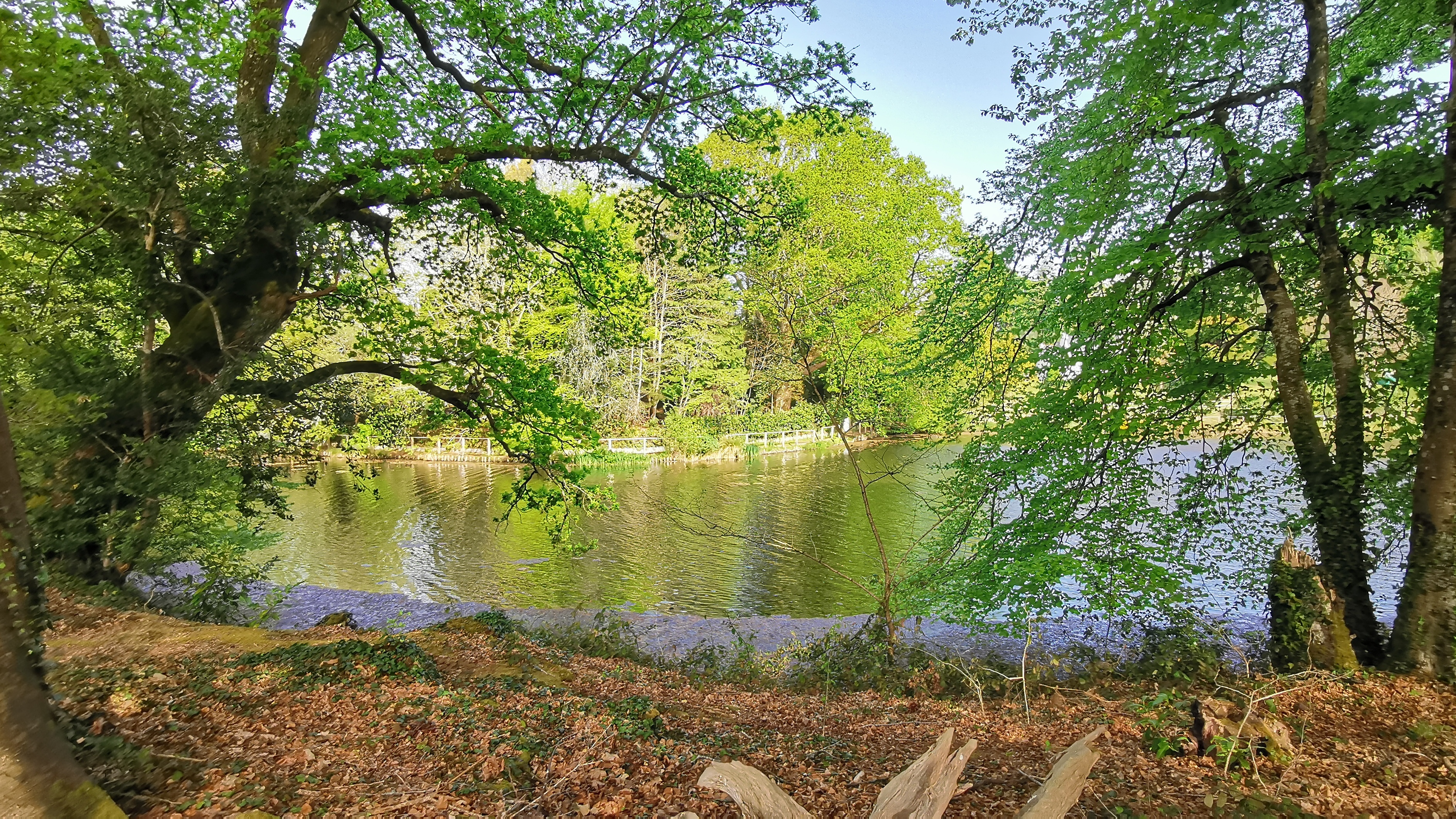 60-IMG_20210425_105555