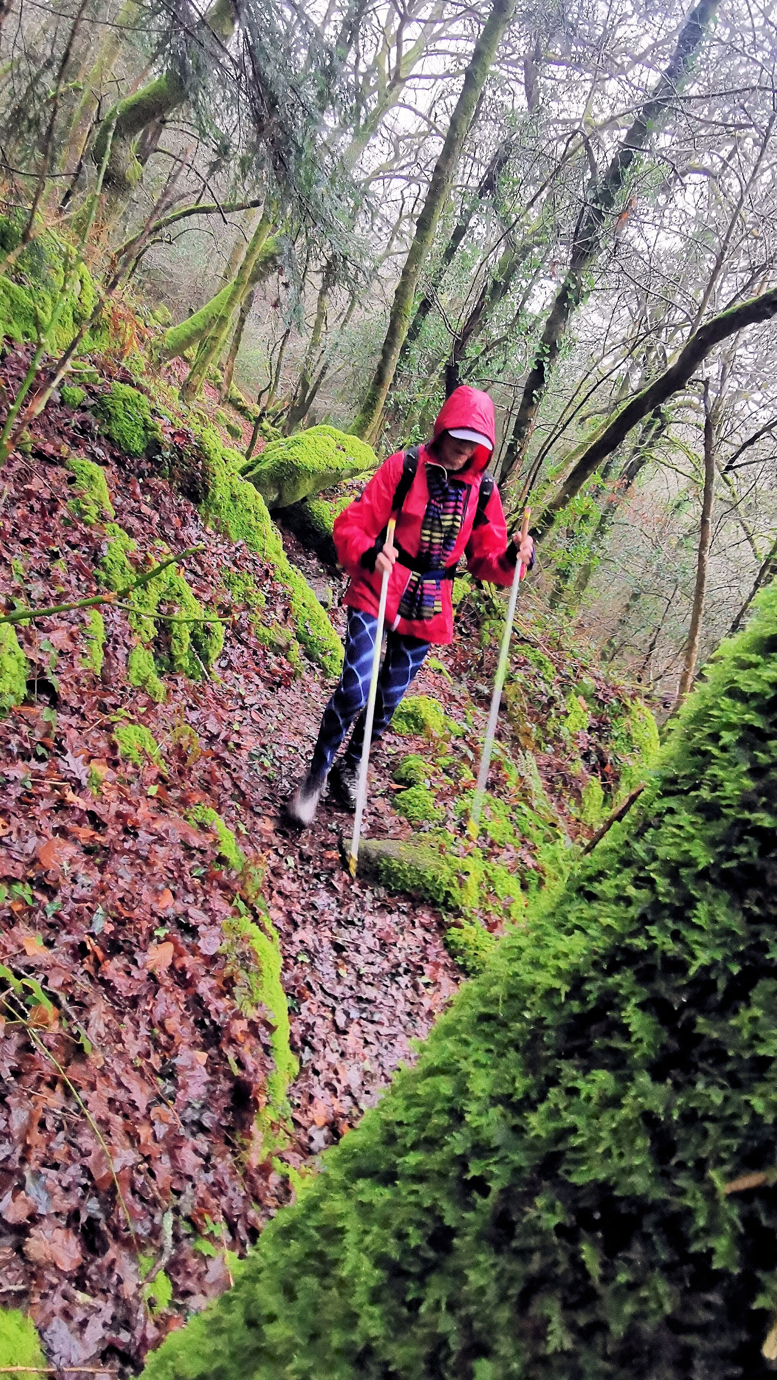 78-IMG_20210121_114054