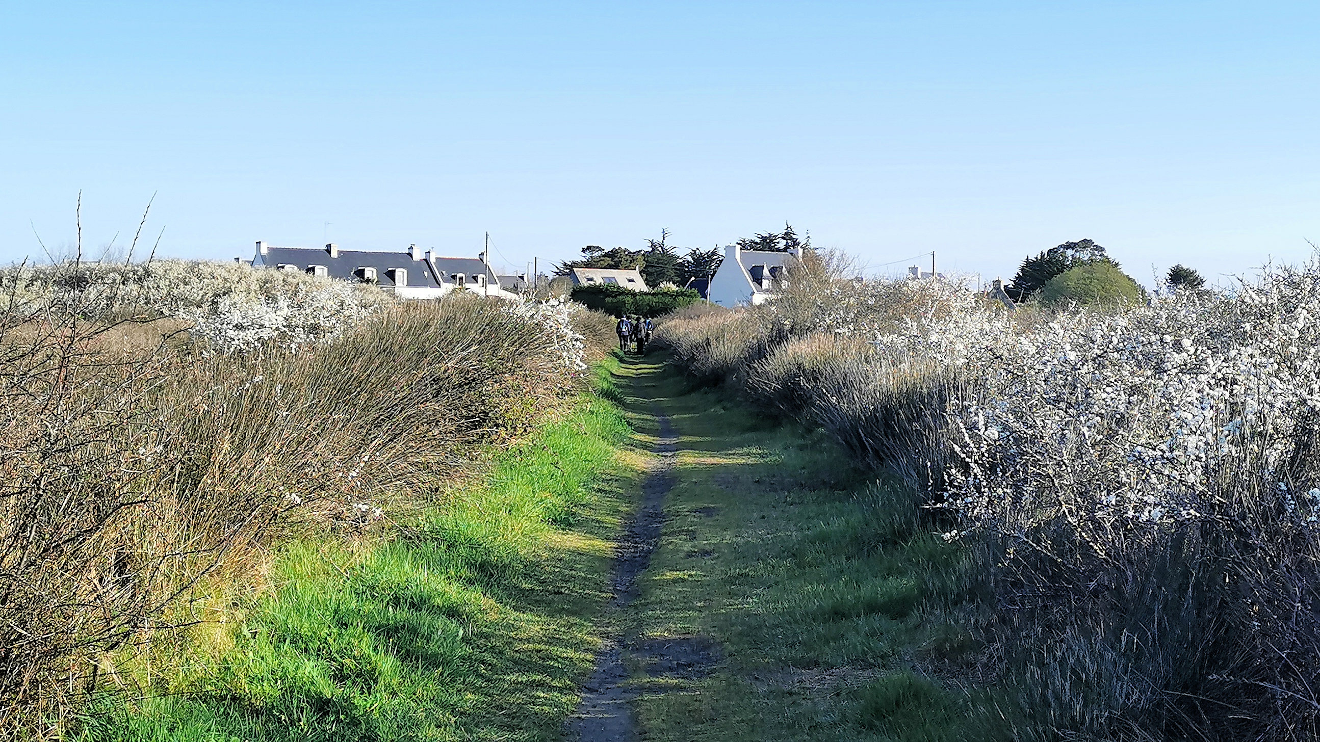 10-IMG_20210403_095003