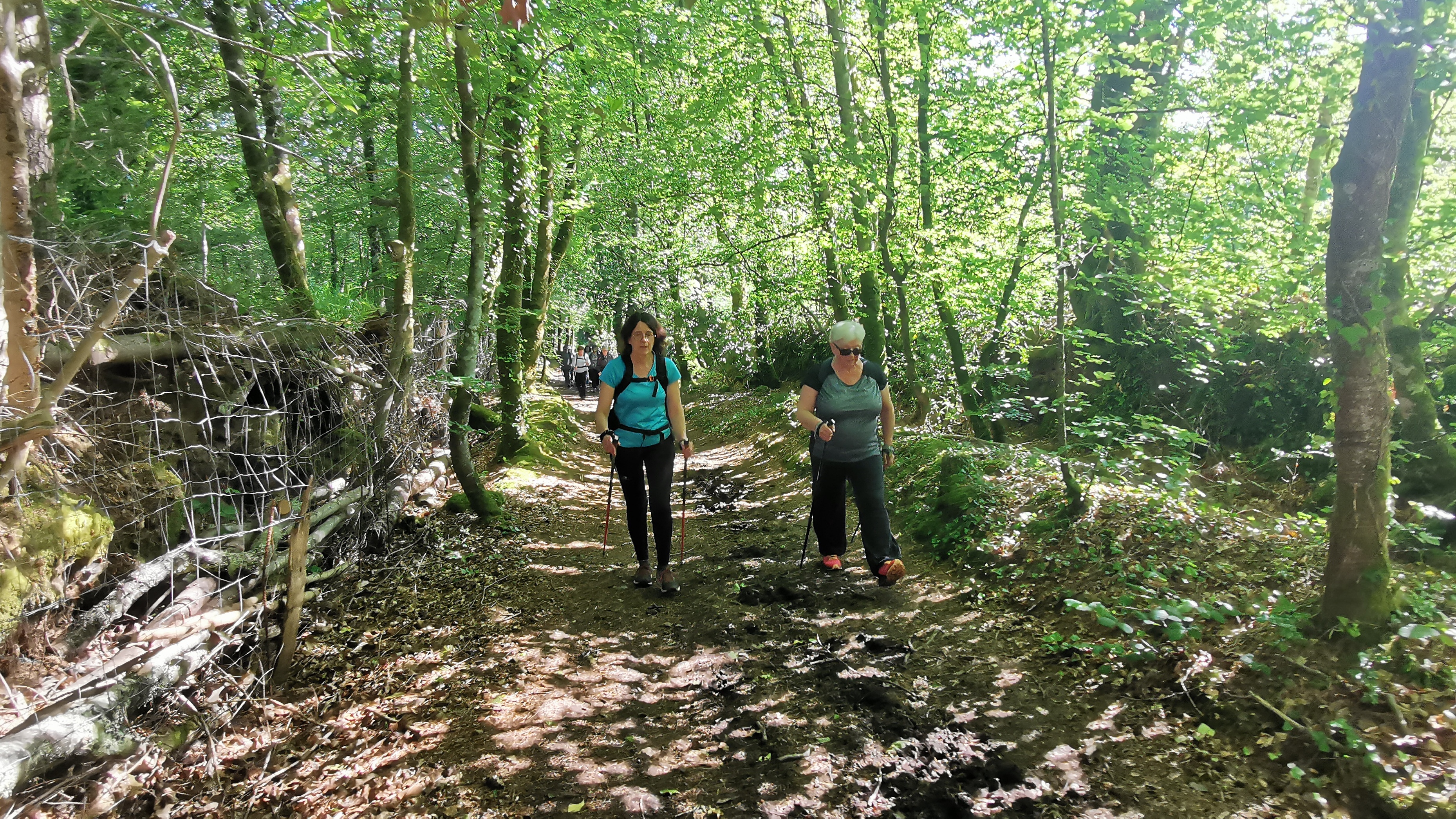 17-IMG_20210531_103441_1