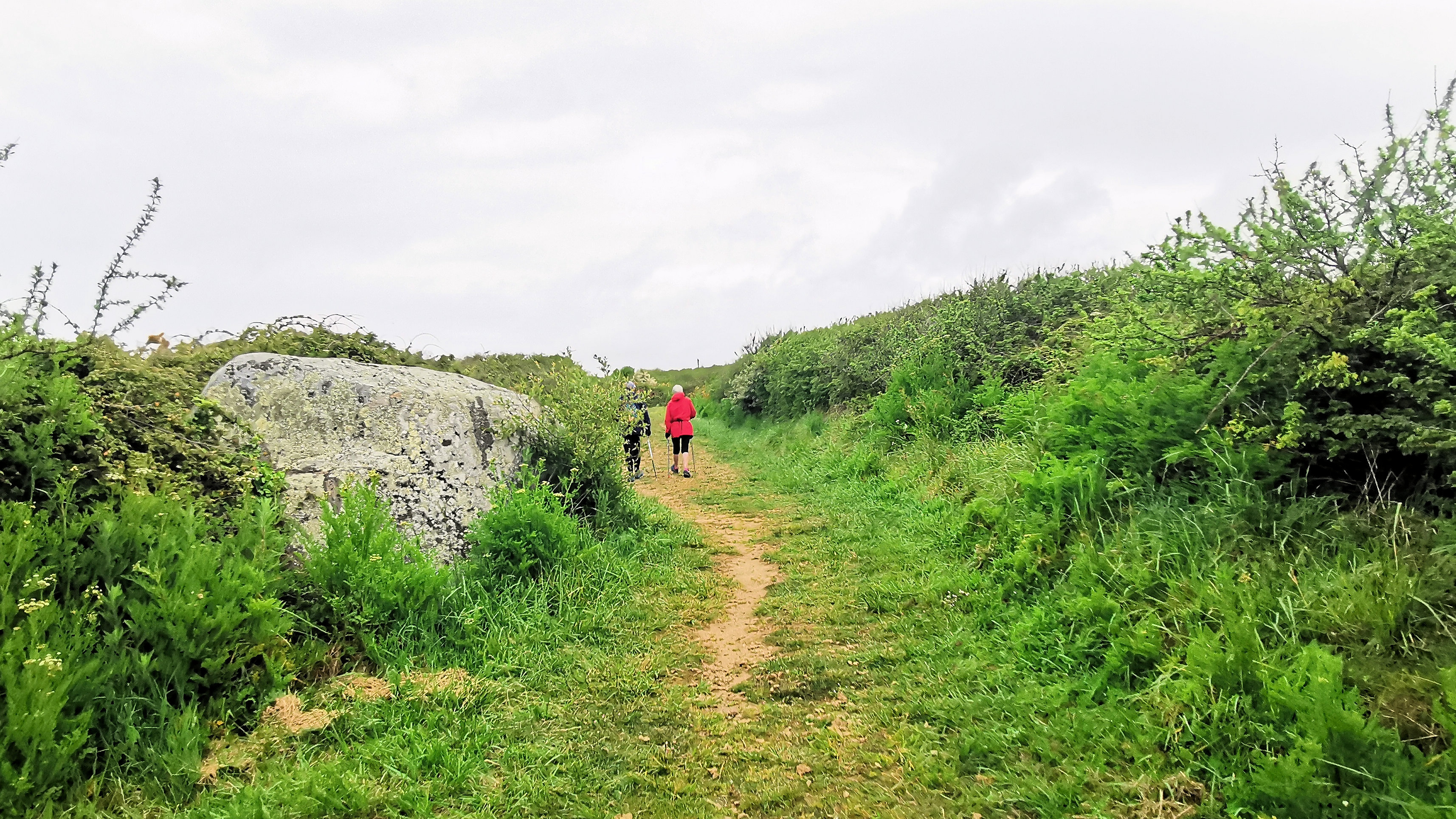 066-IMG_20210509_103422