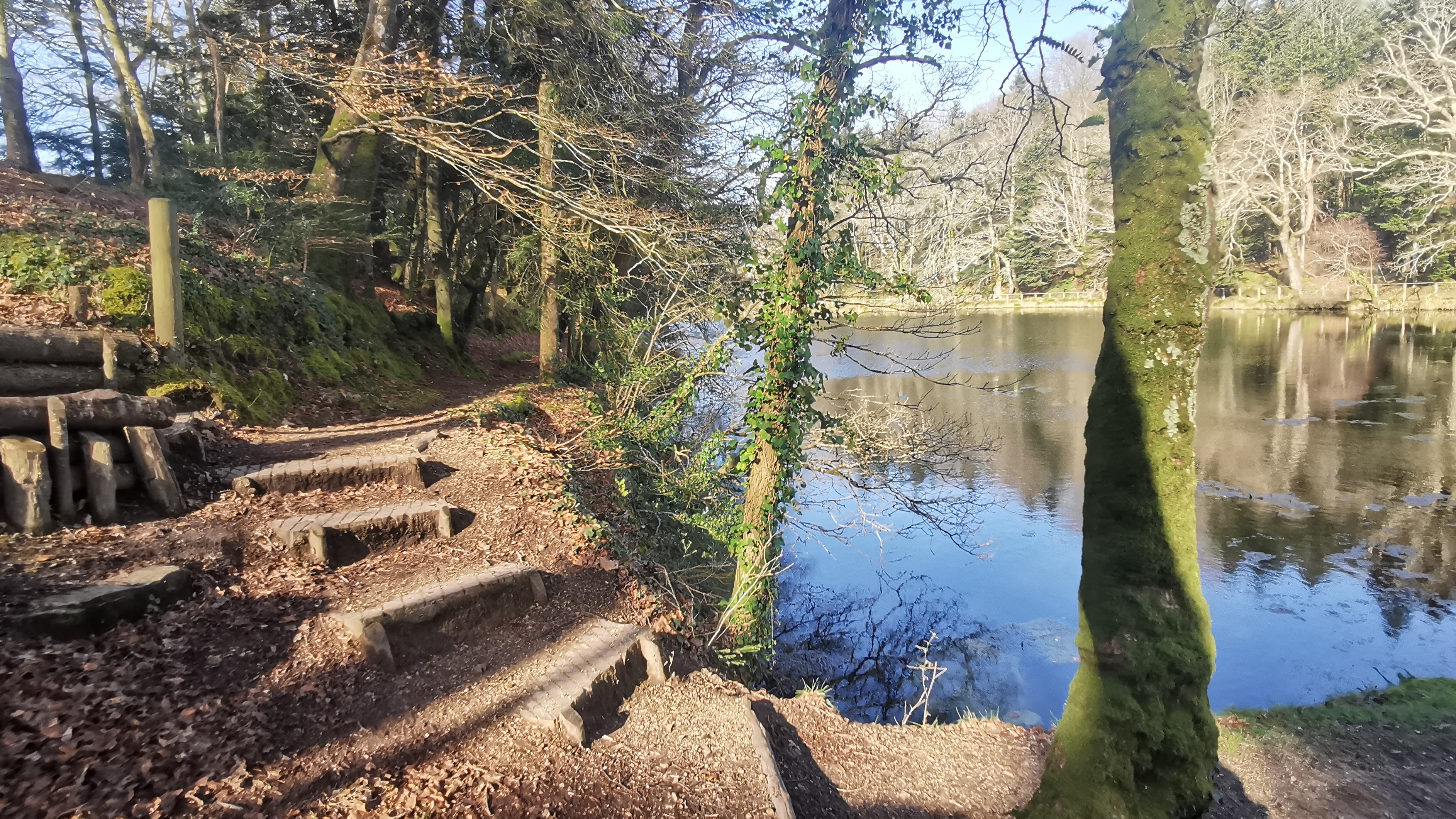 43-IMG_20210318_103216