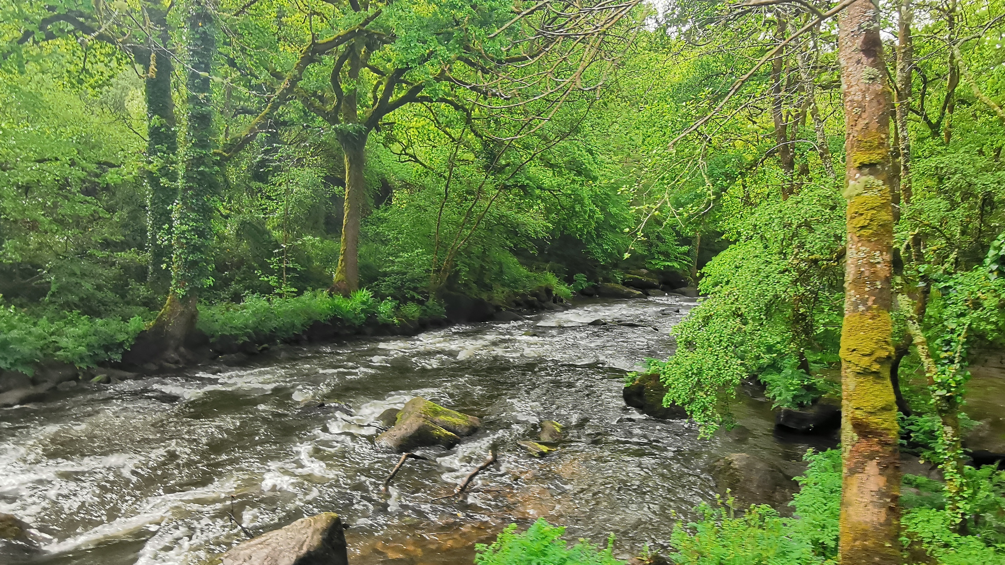 053-IMG_20210513_103108_1