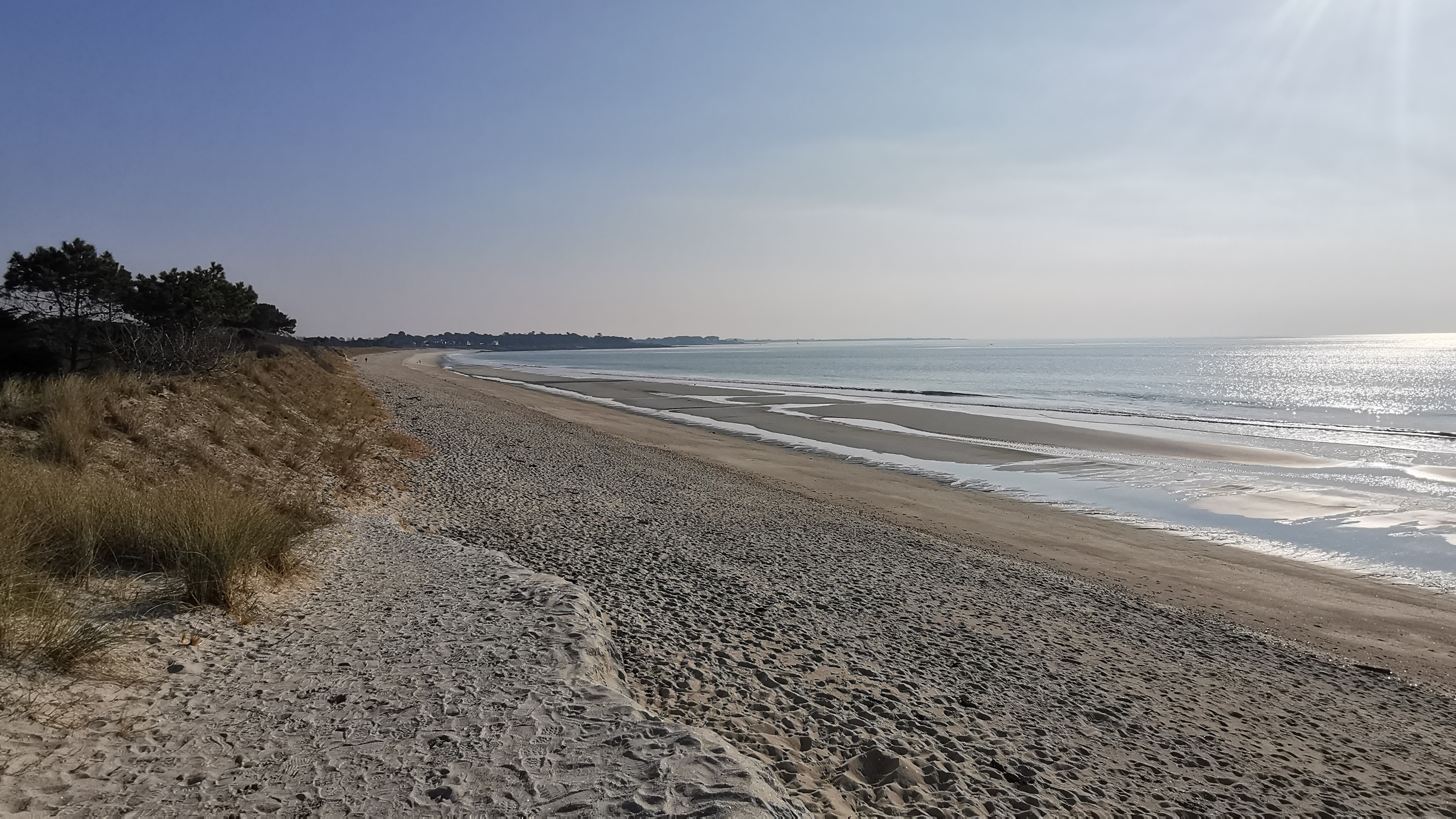 10-IMG_20210309_101336