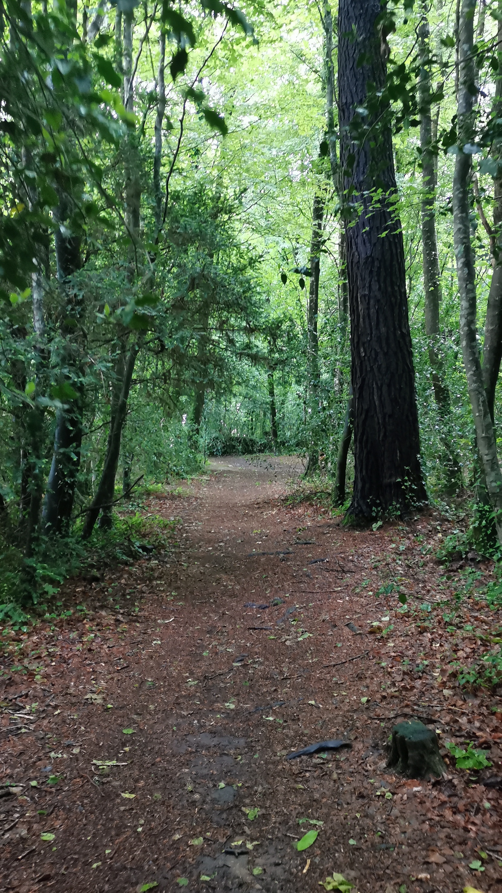 03-IMG_20210524_102057