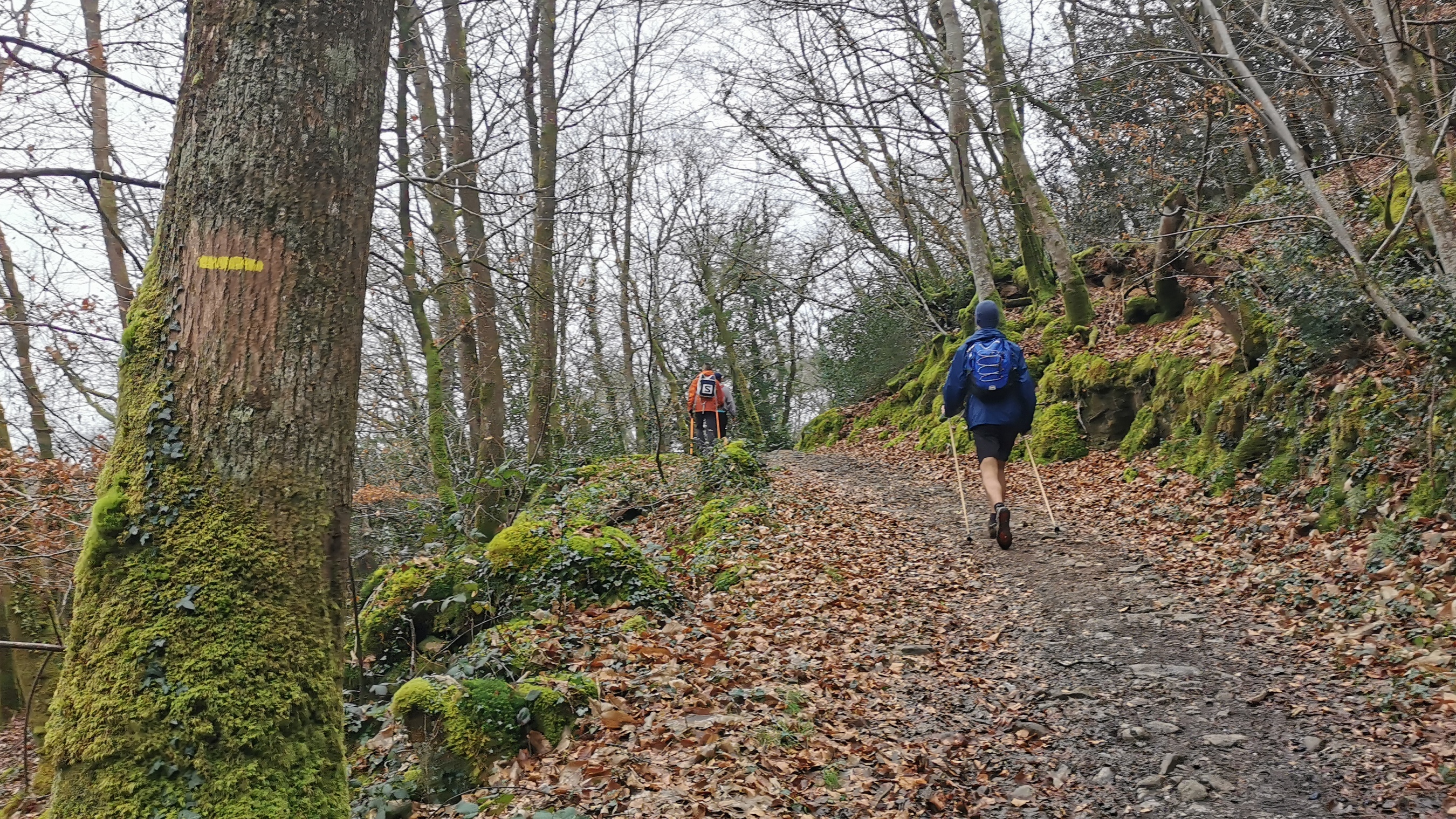 138-IMG_20210220_122630