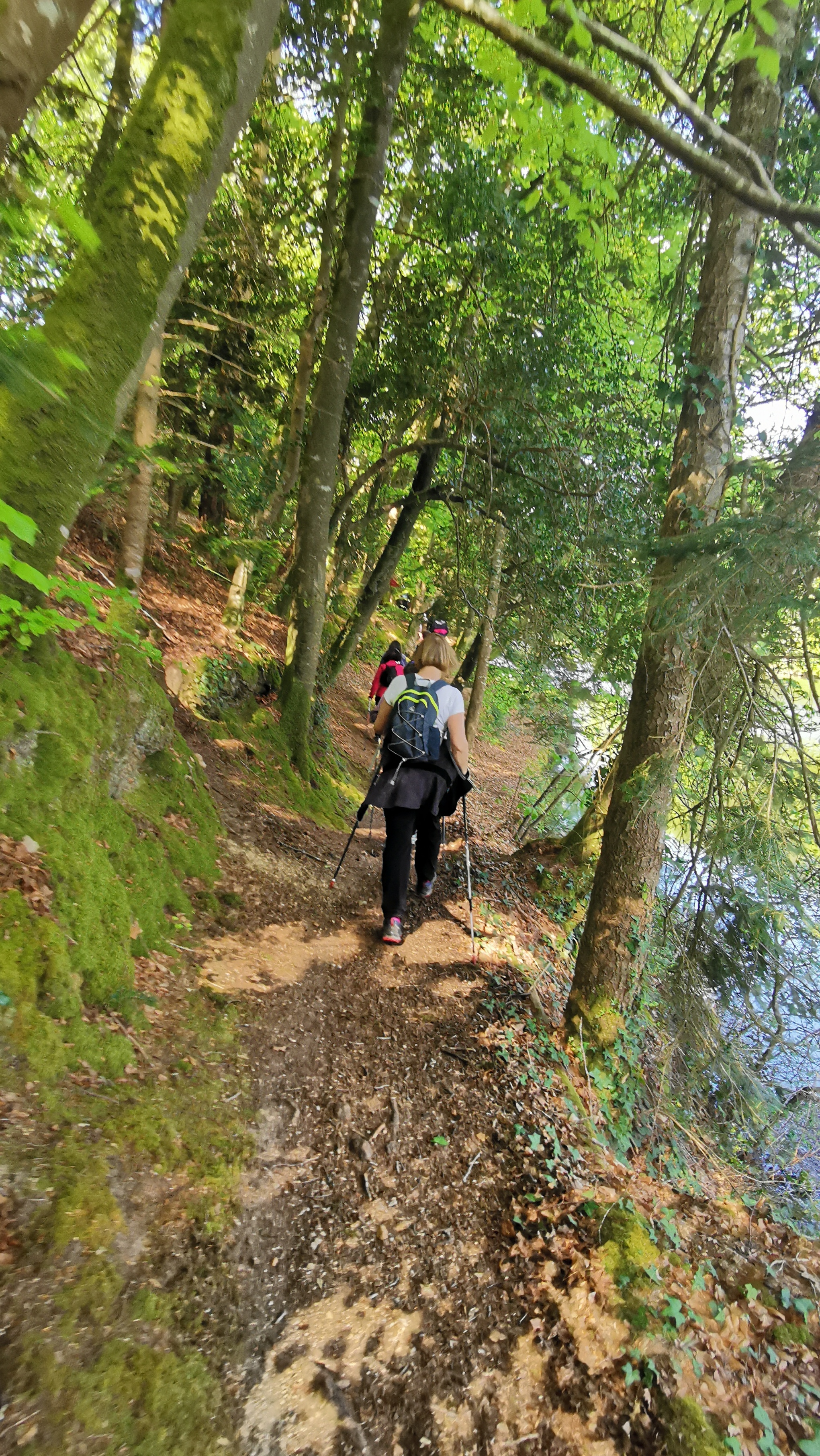 42-IMG_20210501_110710_1