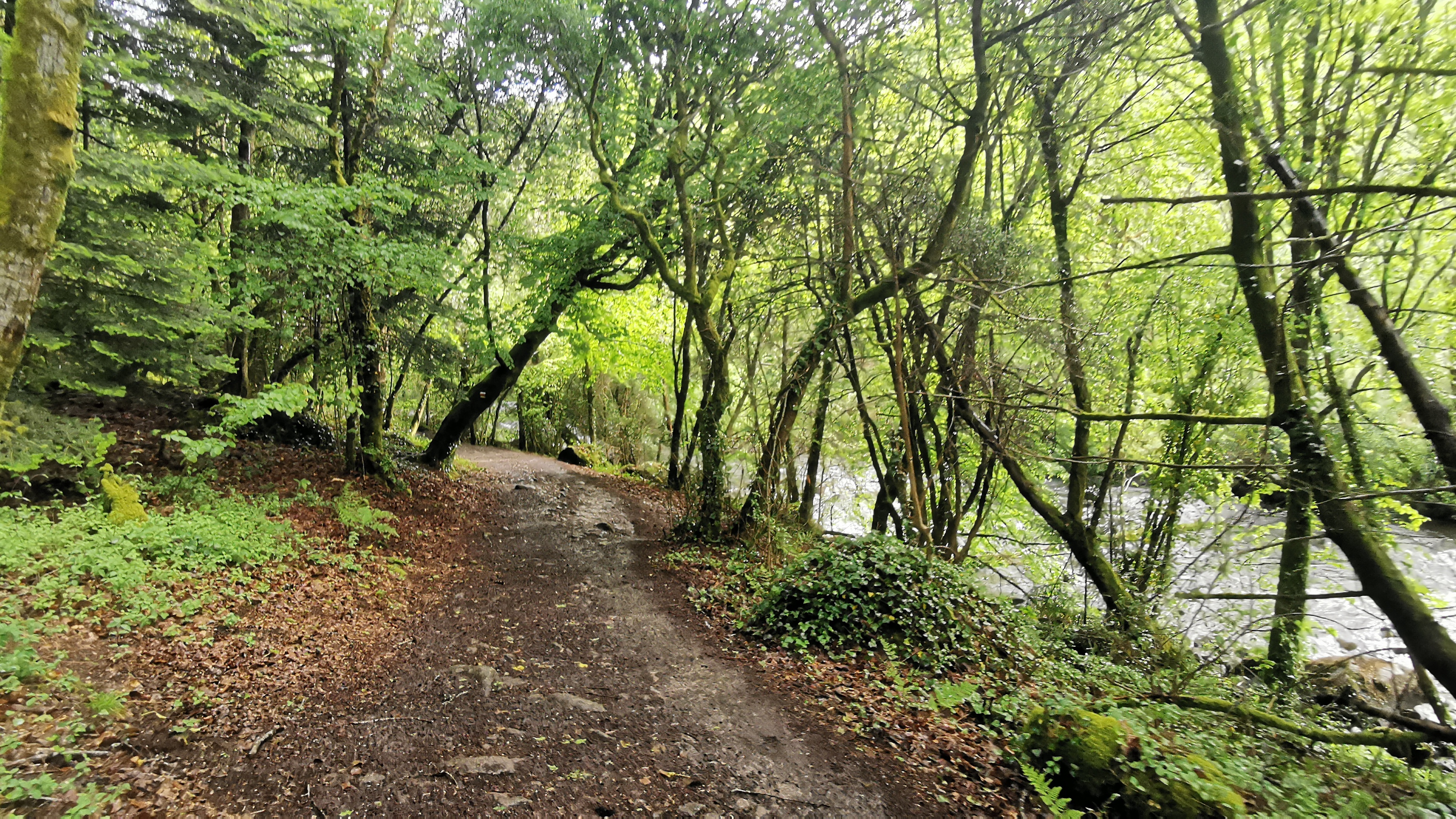 029-IMG_20210513_101500