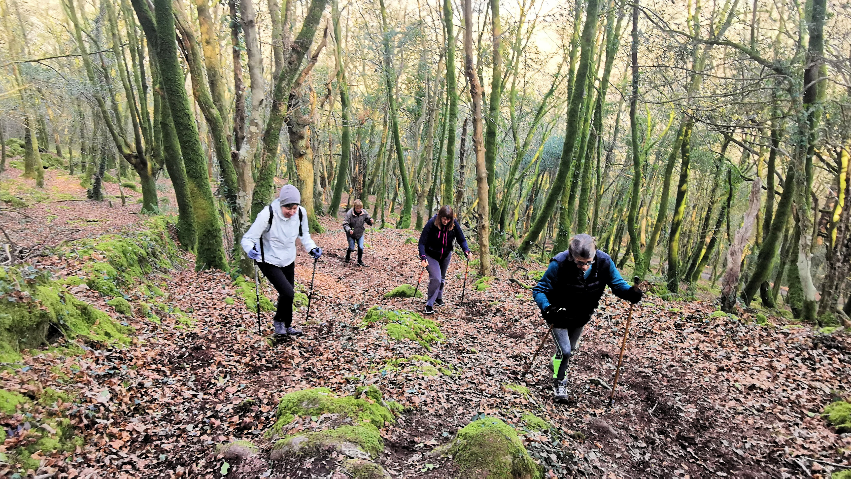 29-IMG_20210307_102320_1