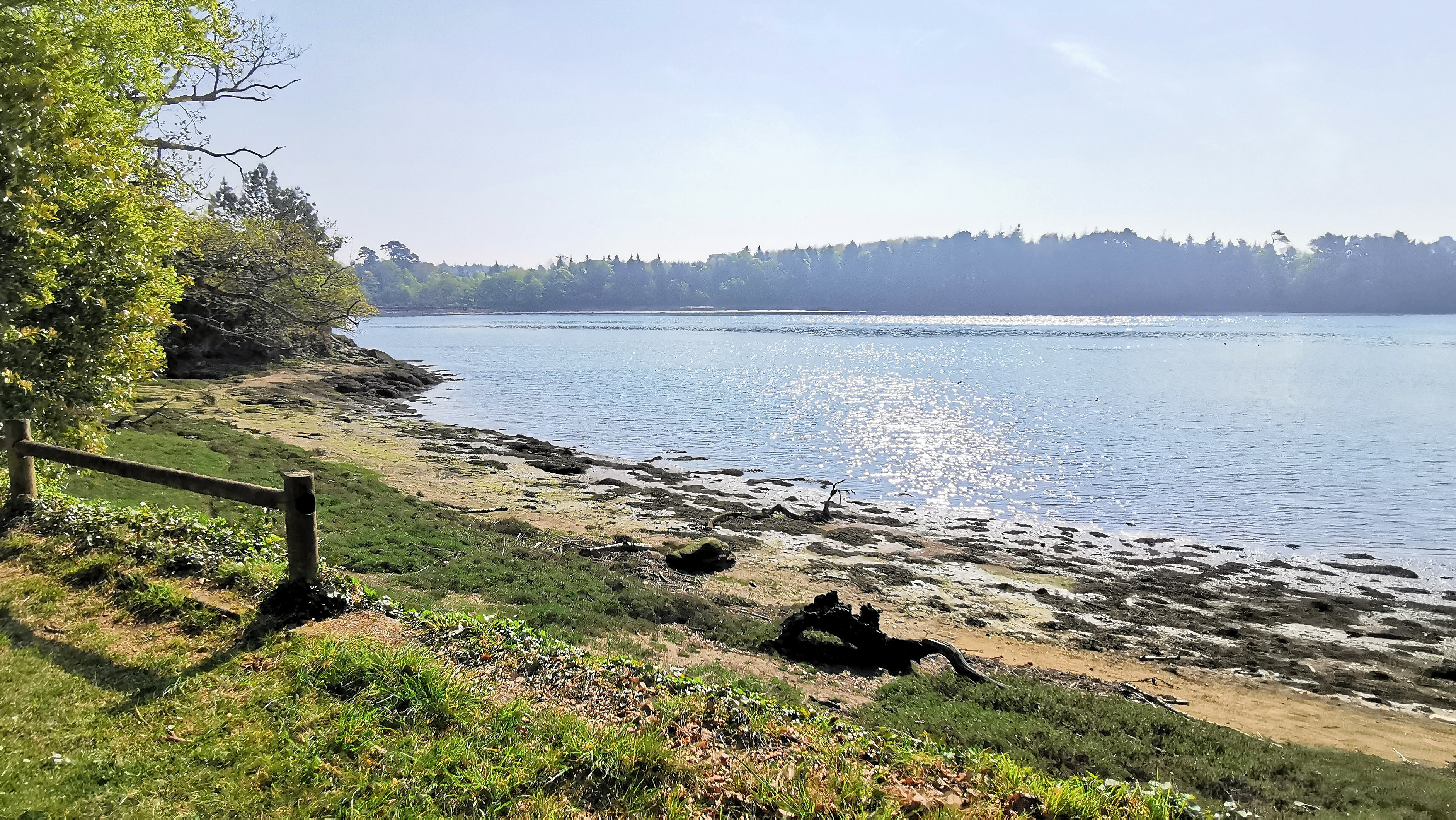 28-IMG_20210422_105742