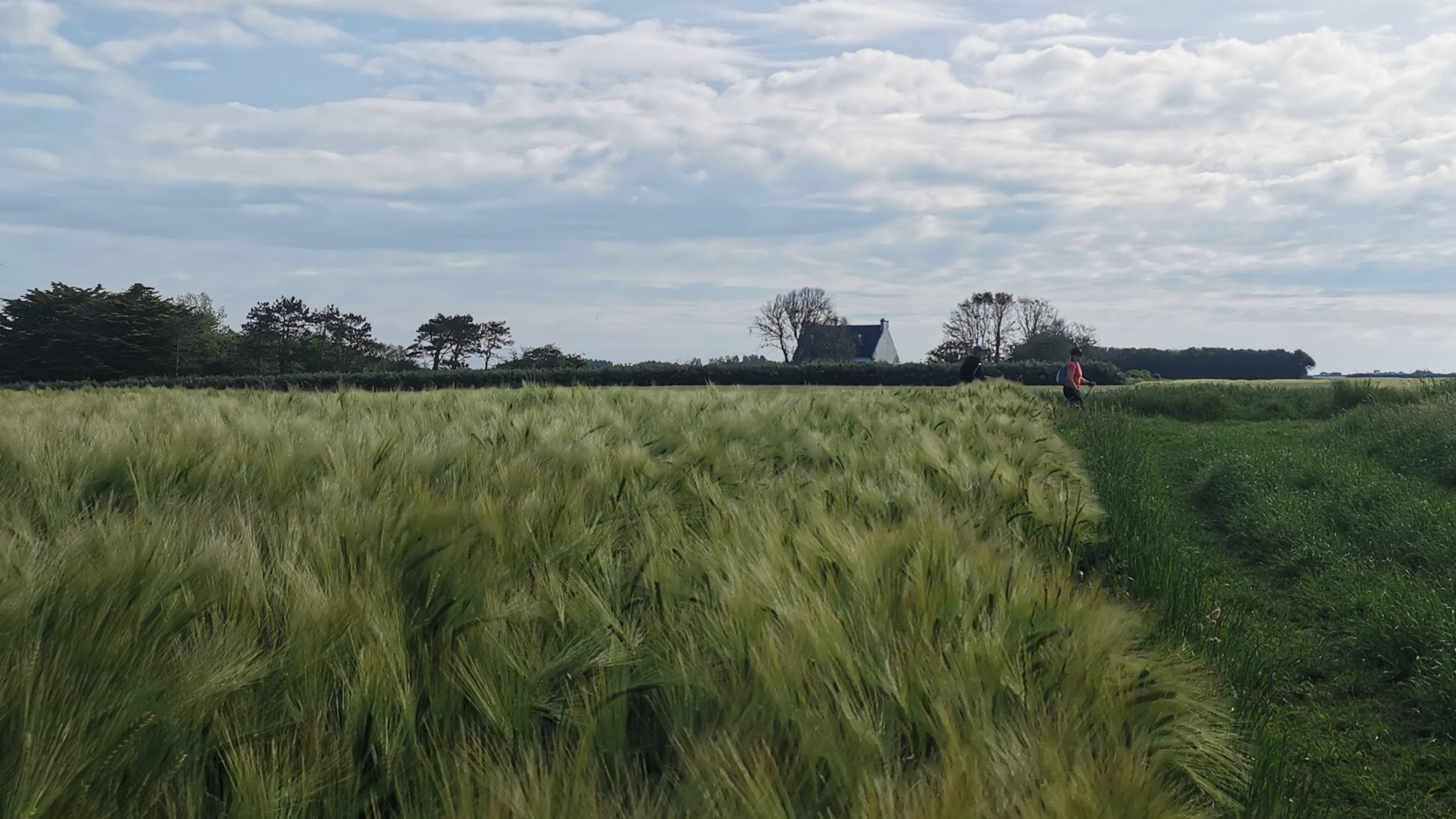 06-IMG_20210530_095454