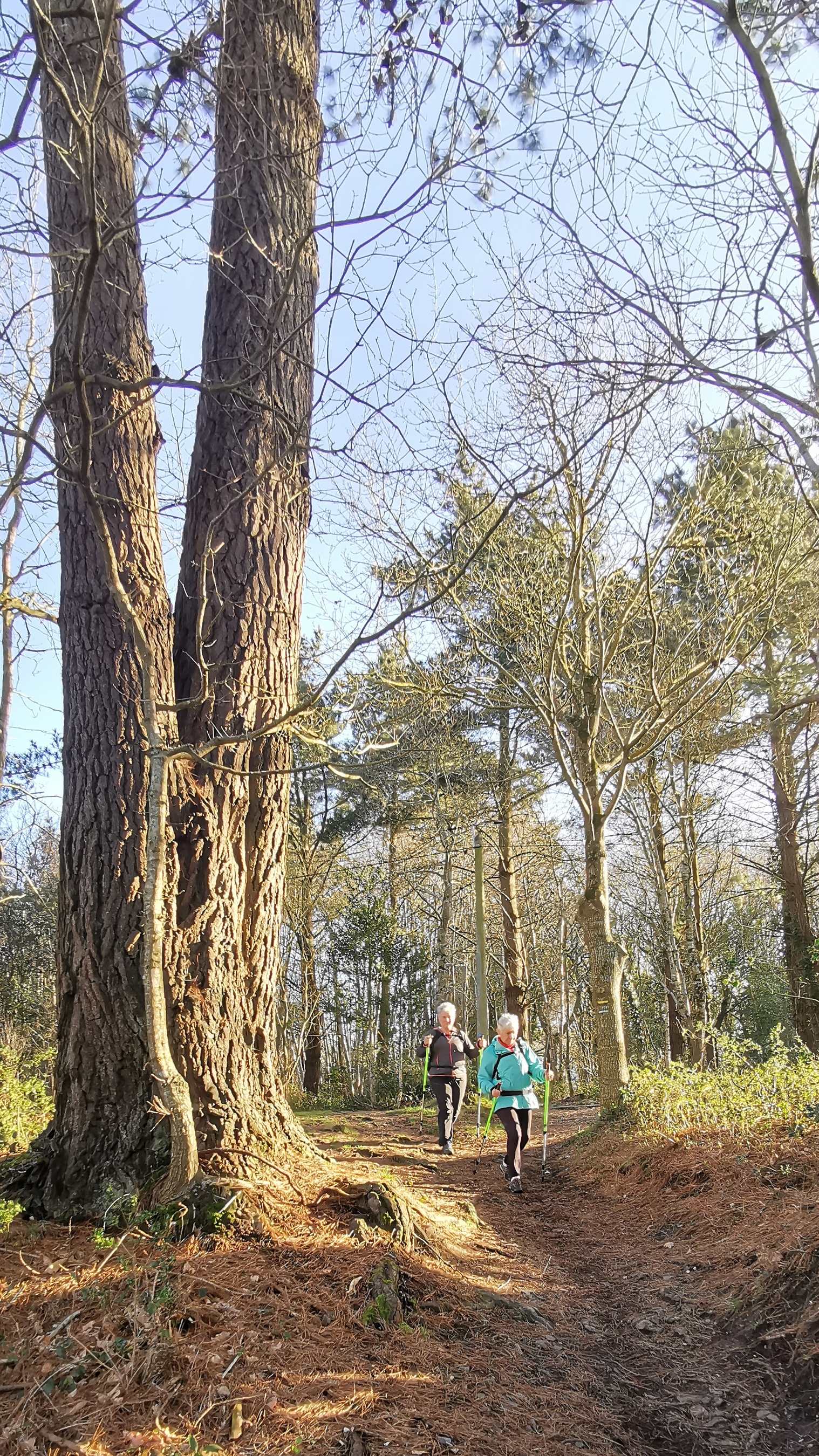 27-IMG_20210223_102158