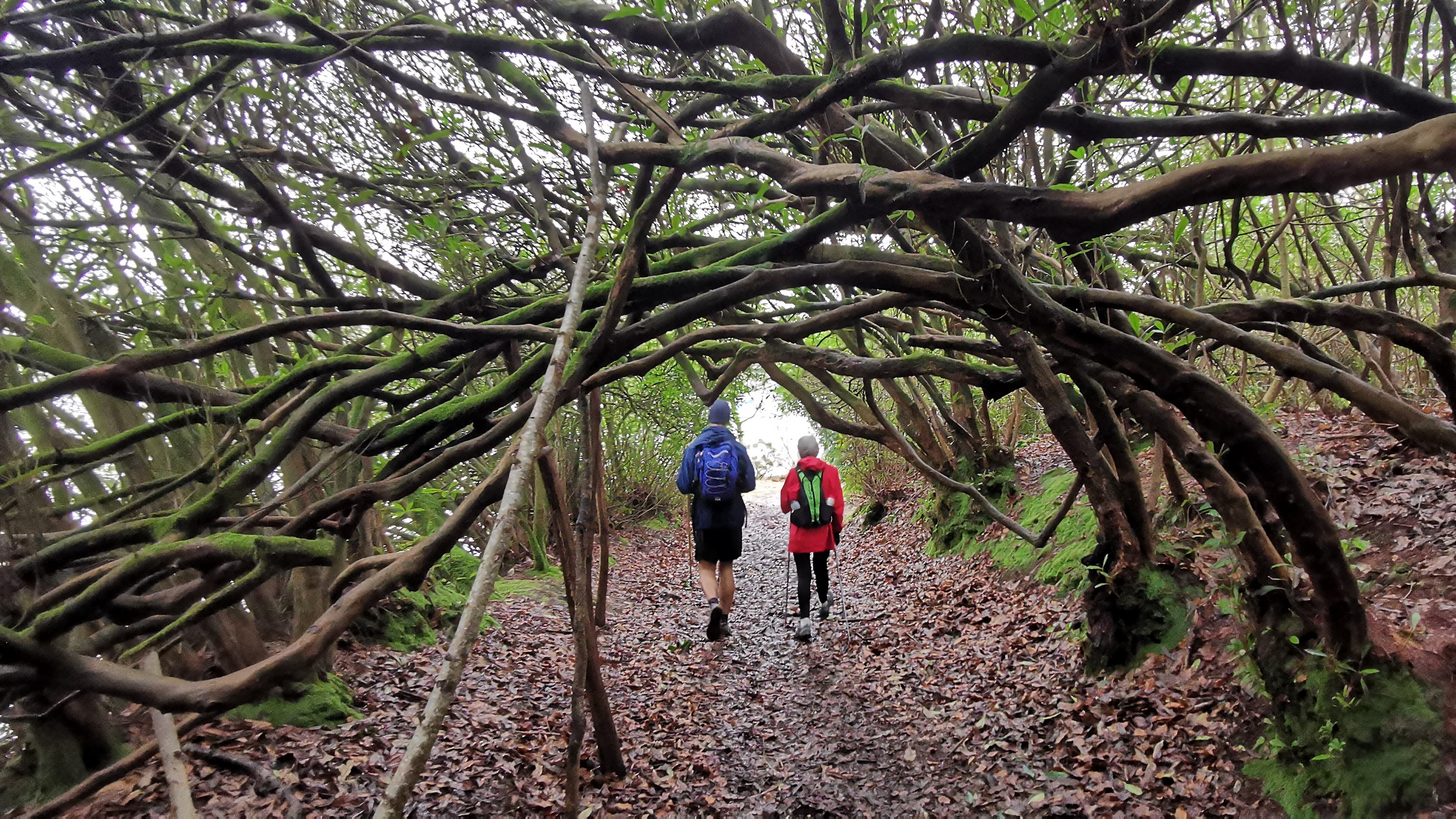 153-IMG_20210220_124119_1