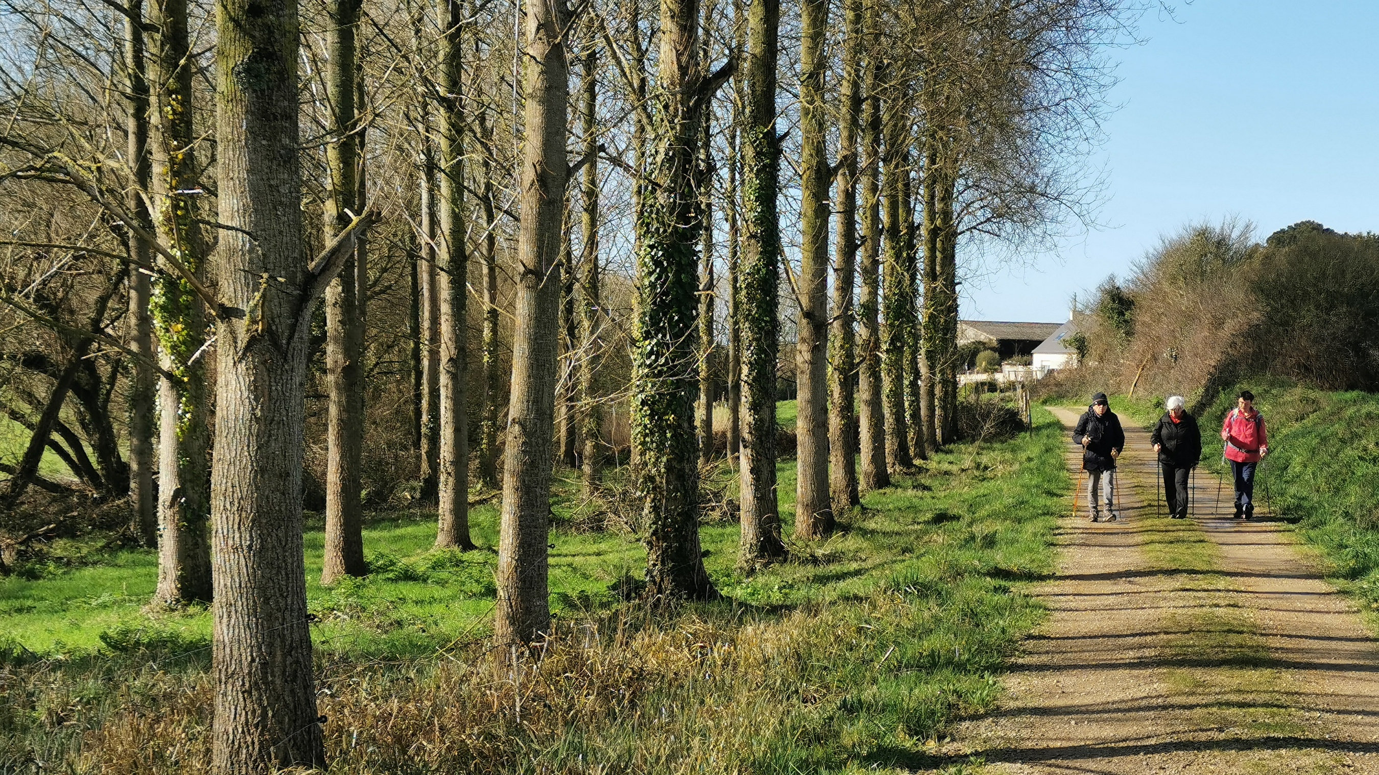 094-IMG_20210222_120749