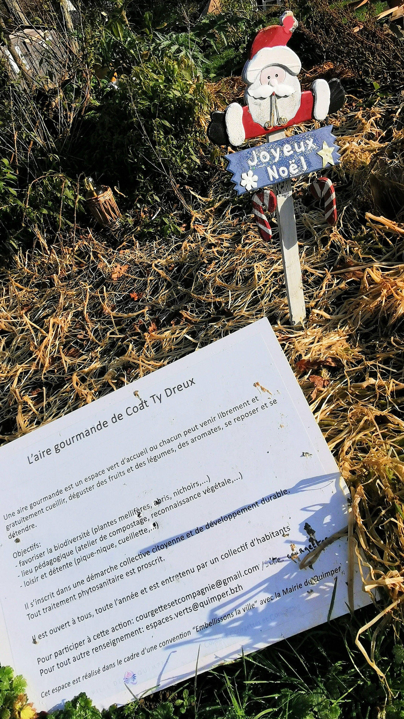 21-IMG_20210105_112129