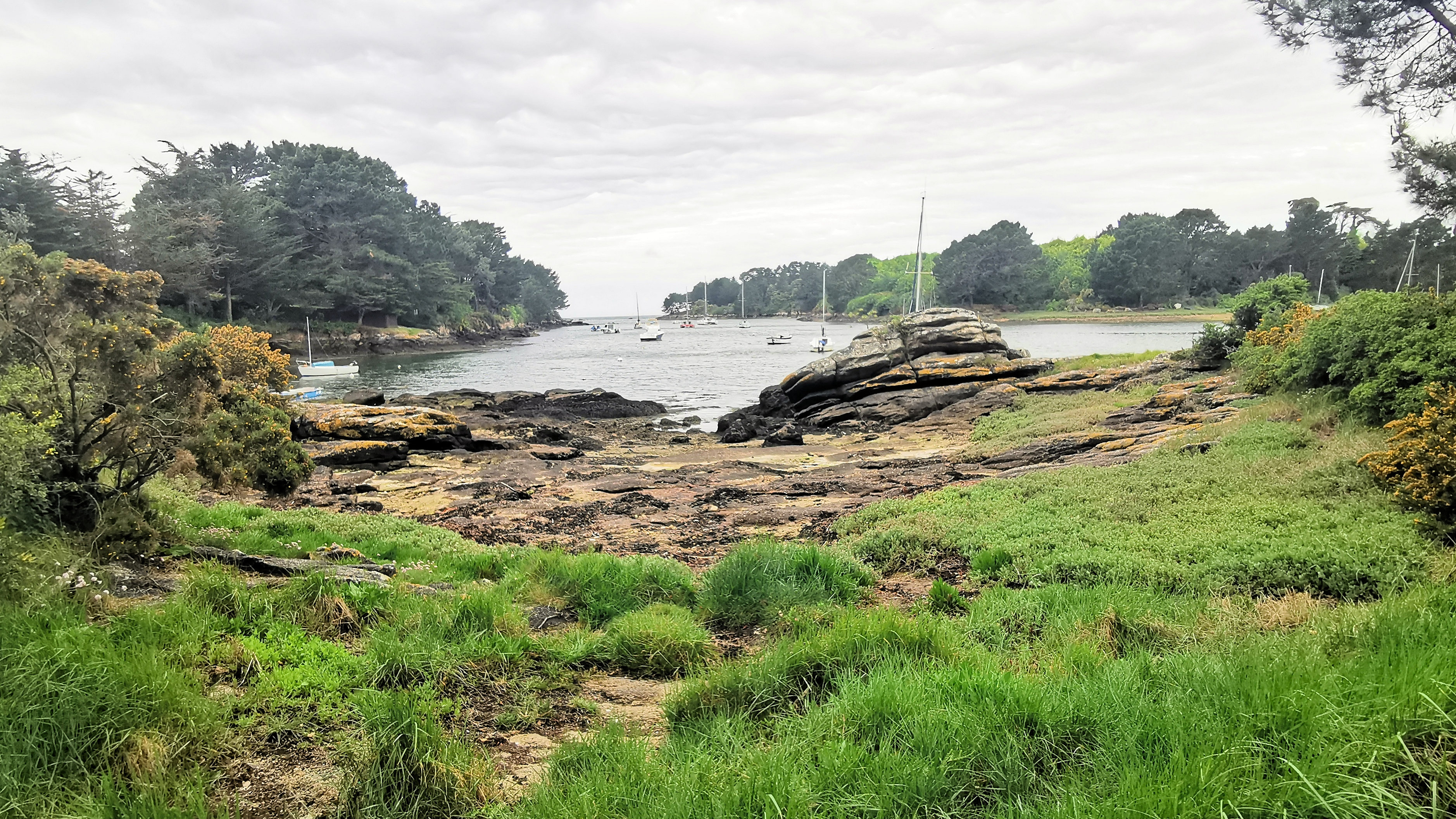 63-IMG_20210520_103842