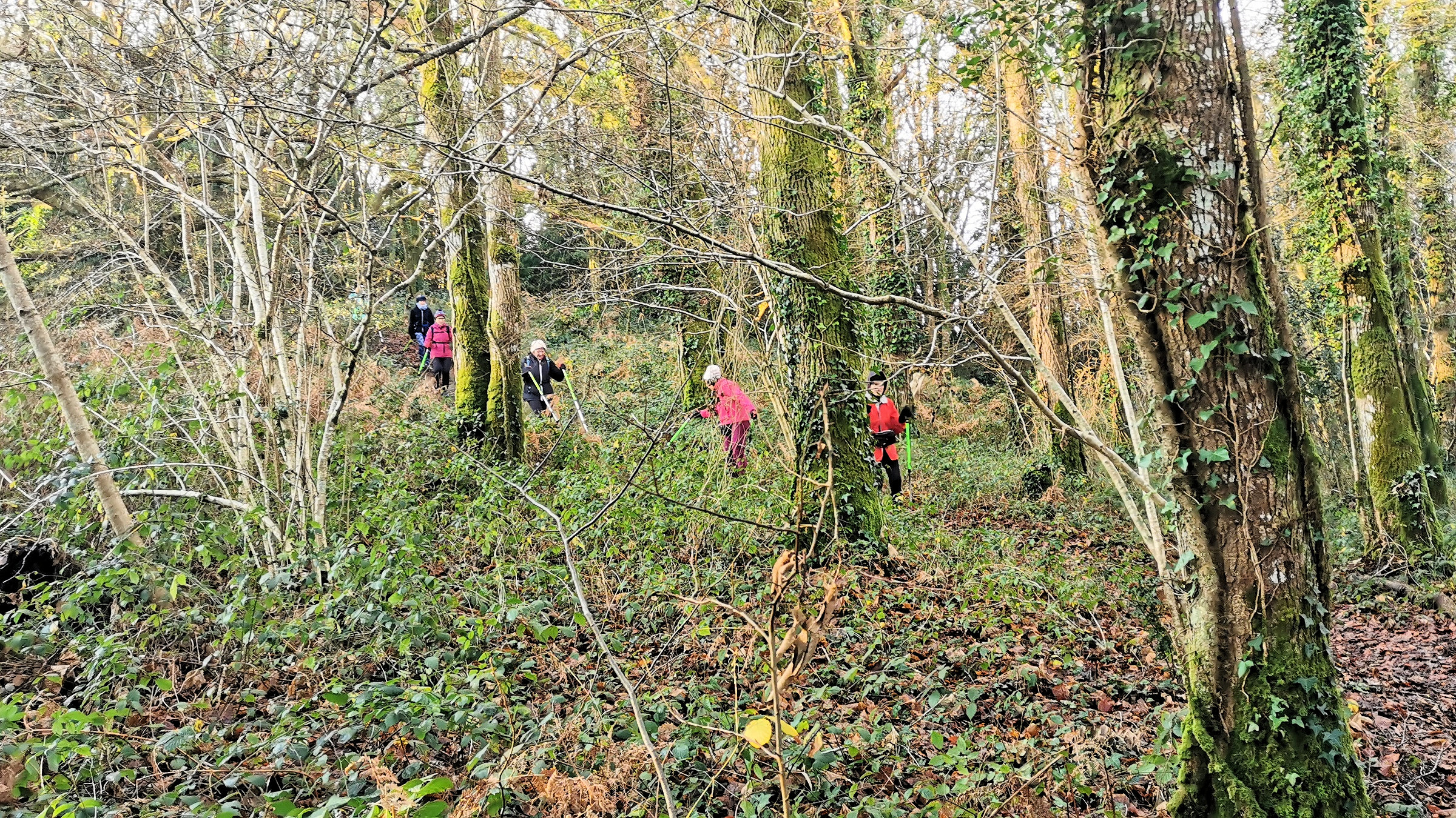 02-IMG_20210105_101953