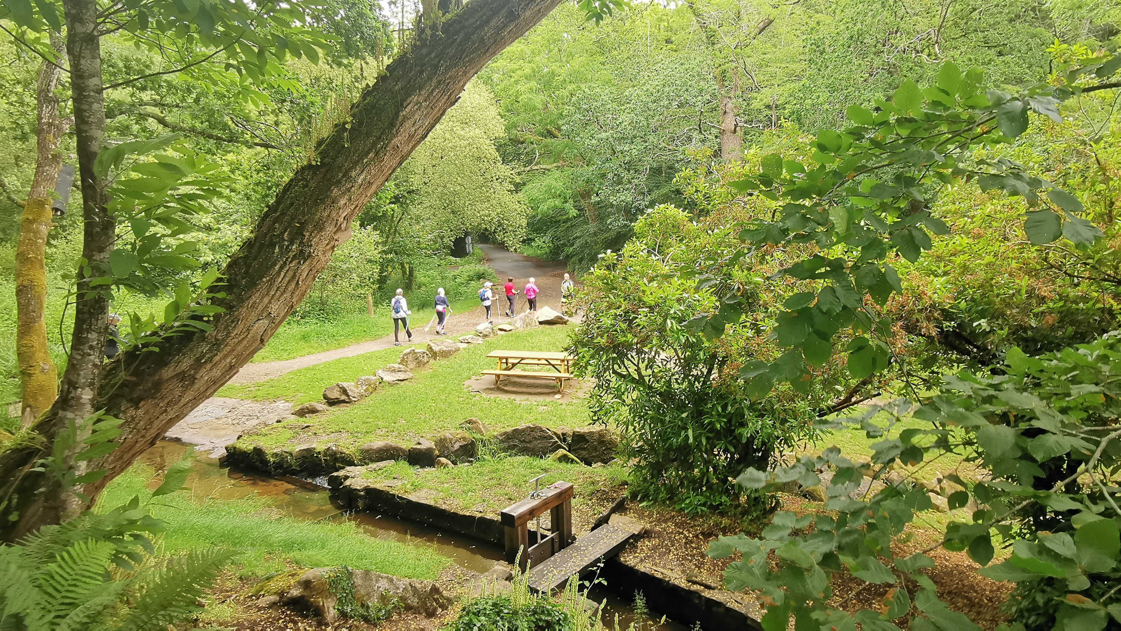 57-IMG_20210617_114058