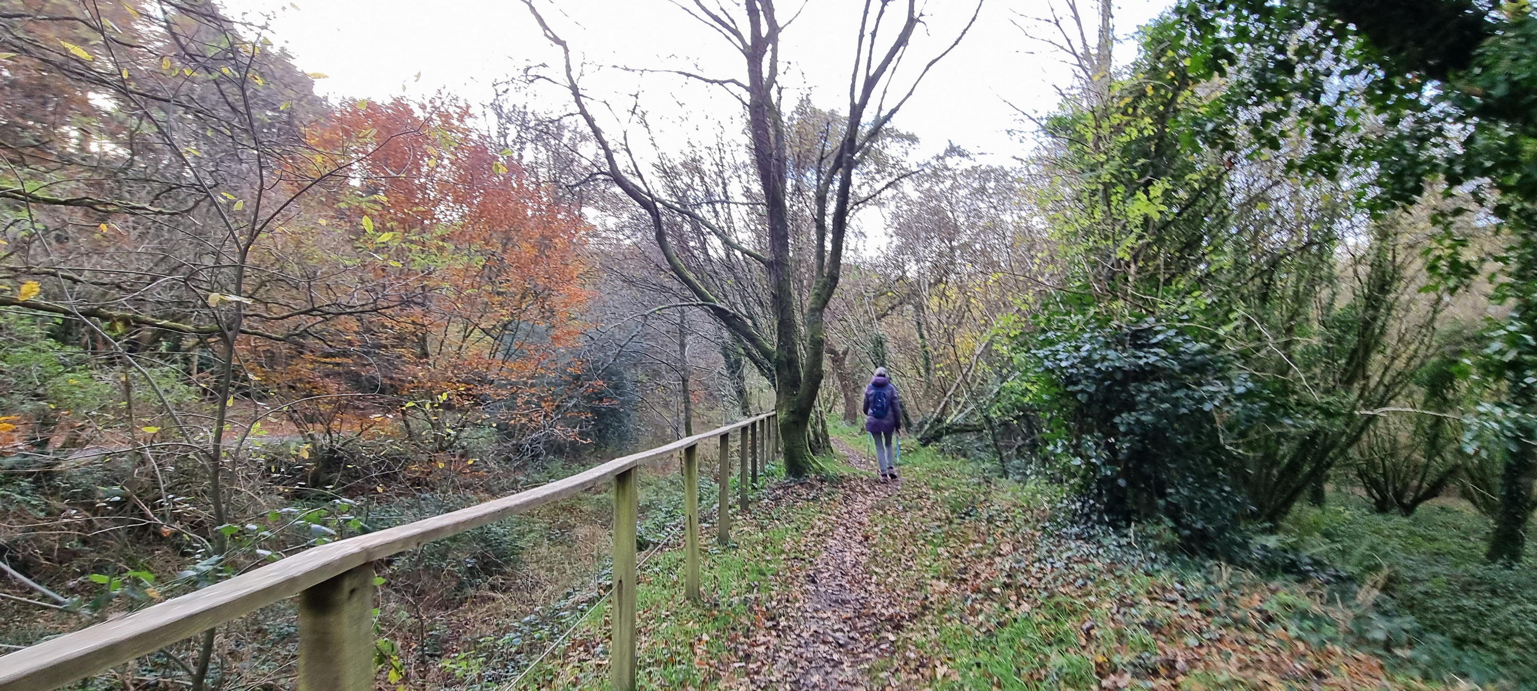 21-20211125_104020(0)