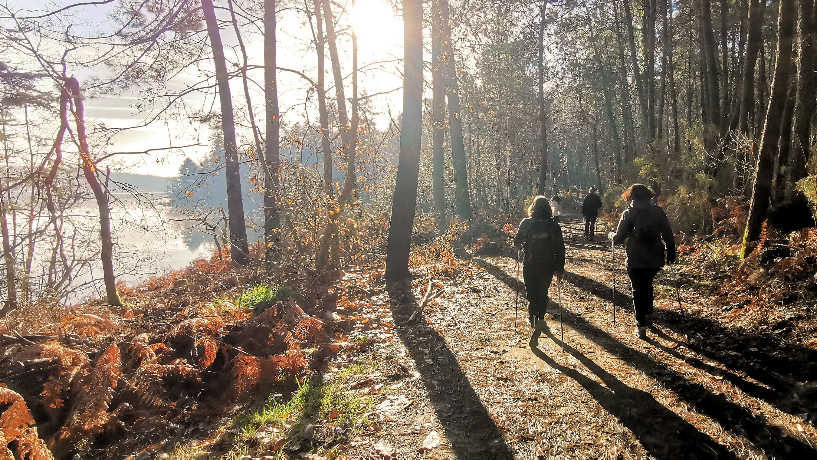 30-IMG_20210206_105812